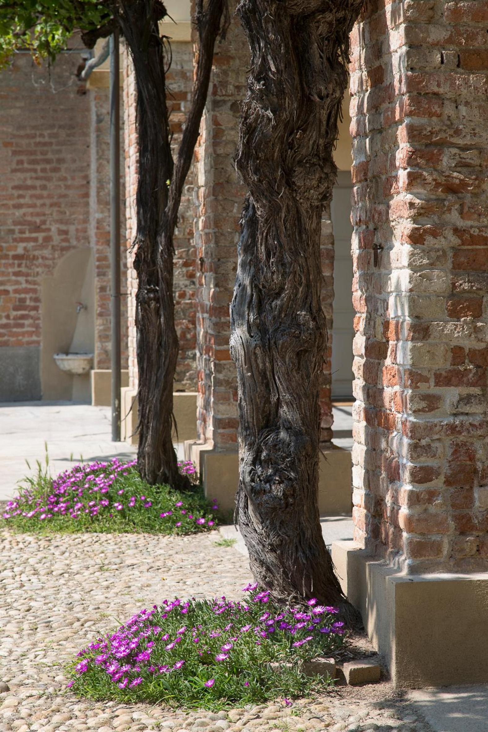 Marchesi Alfieri - Cantine e Ospitalità
