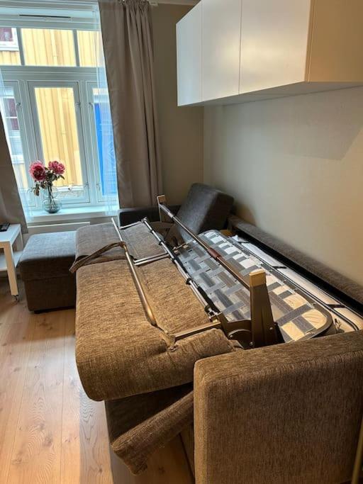 Romslig studioleilighet med utsikt over kongensgate