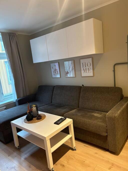 Romslig studioleilighet med utsikt over kongensgate