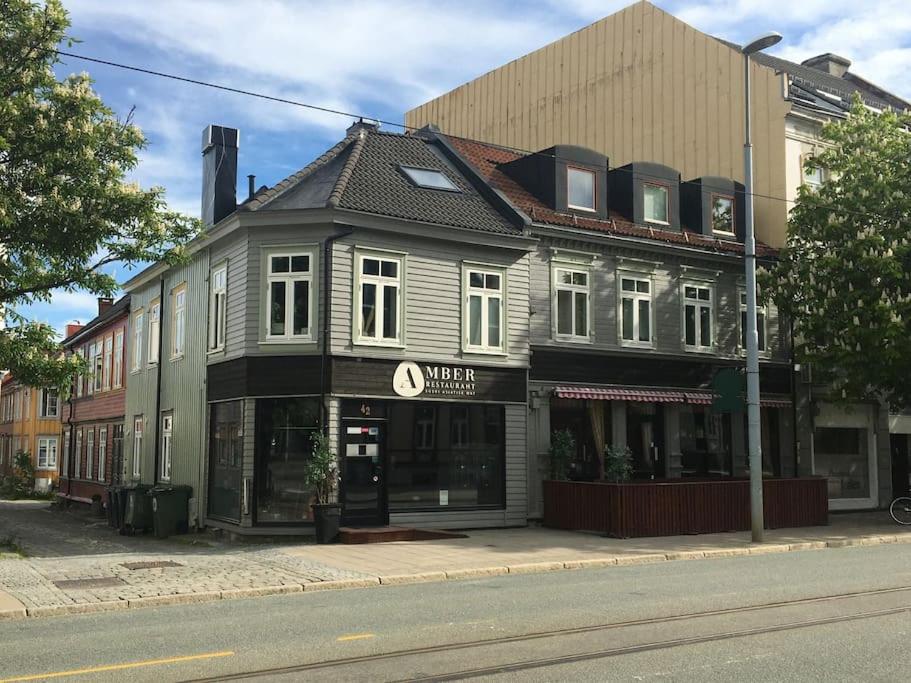 Romslig studioleilighet med utsikt over kongensgate