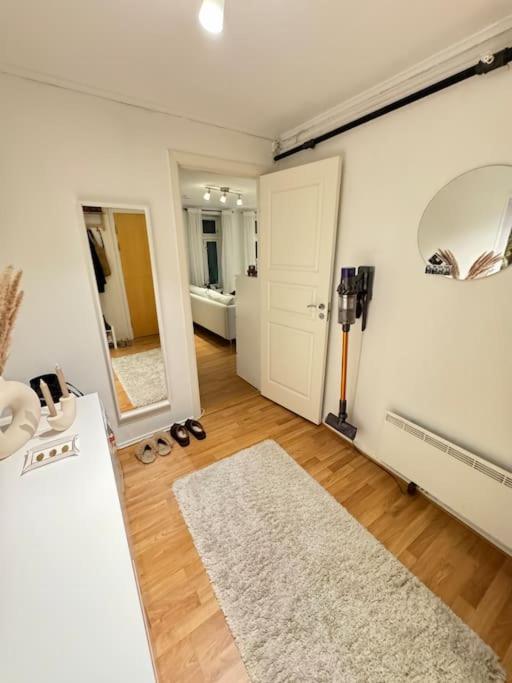 Romslig studioleilighet med utsikt over kongensgate