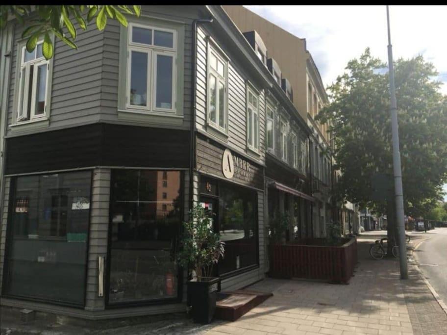 Romslig studioleilighet med utsikt over kongensgate