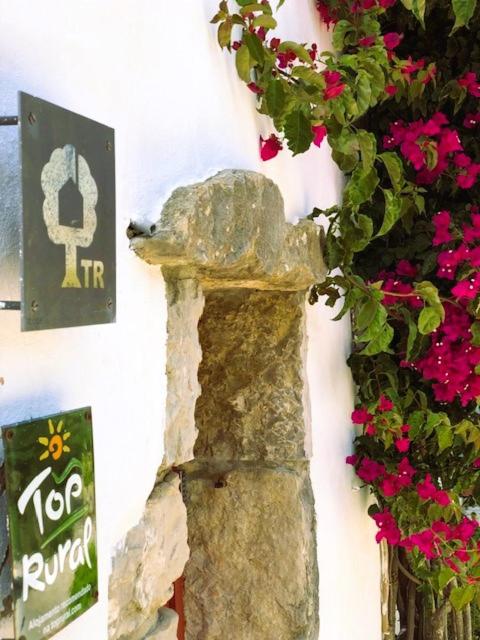 Photo 57