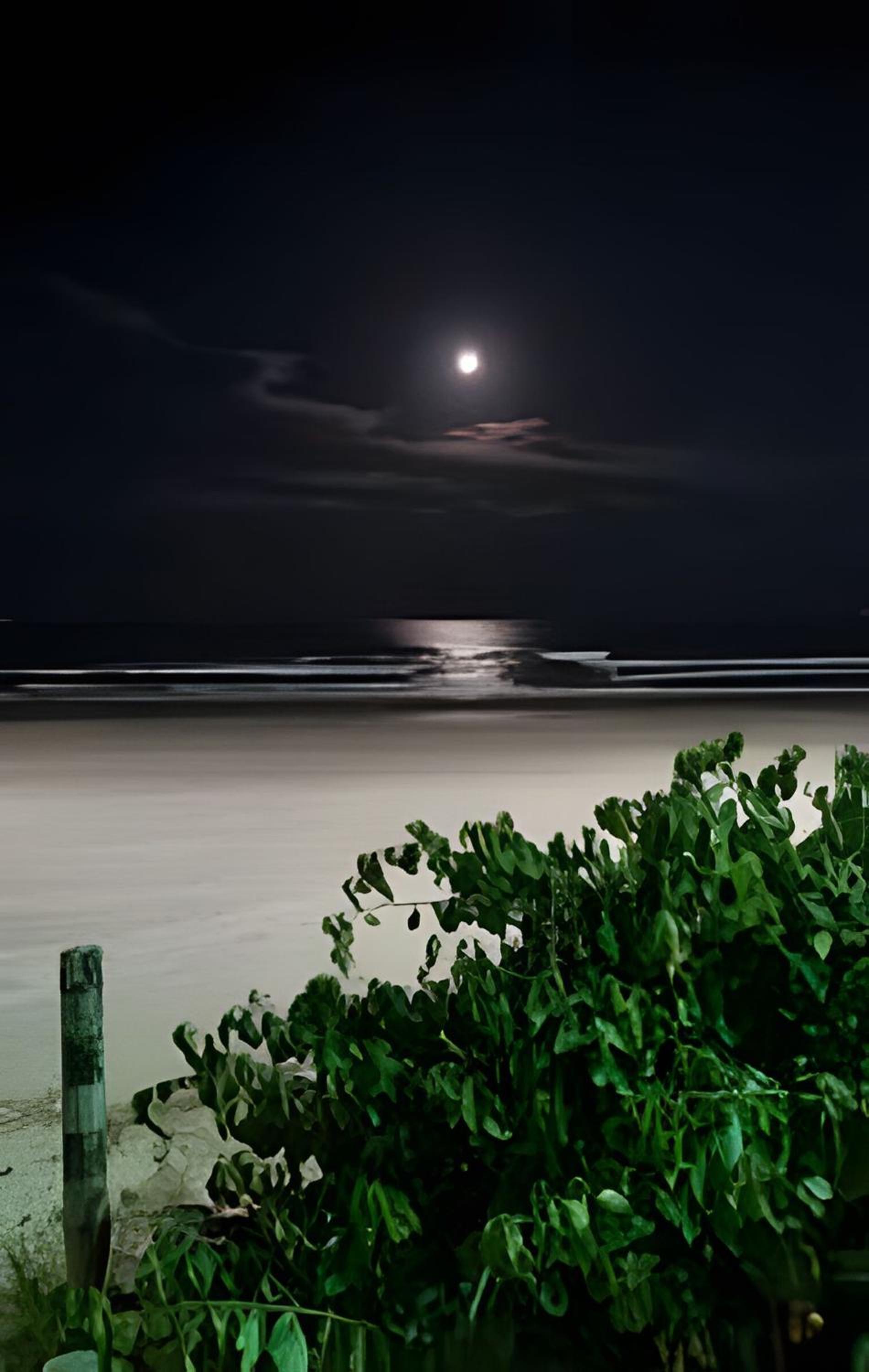 4KIDS Praia Itapema - Pé na areia