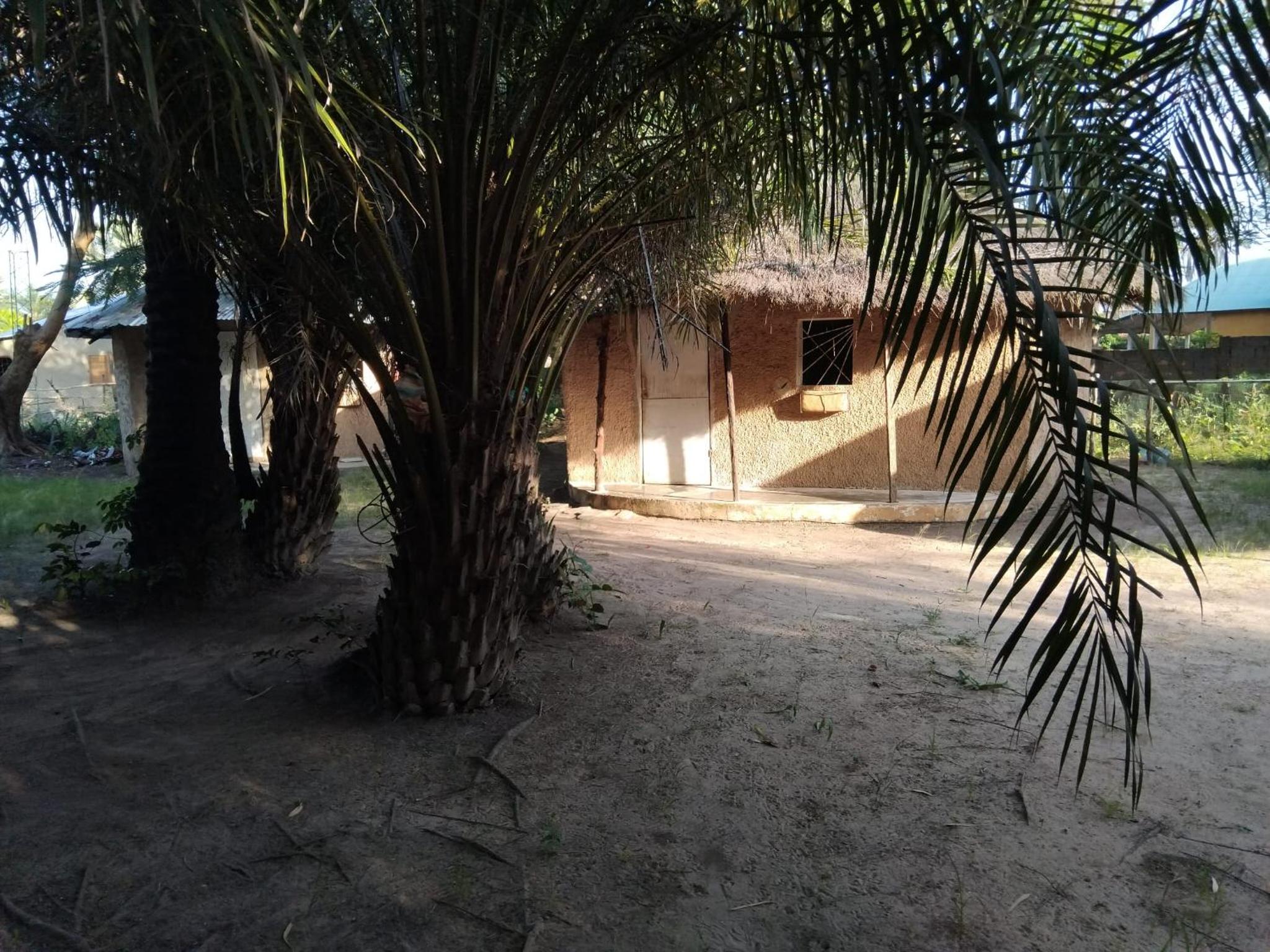 Photo 15