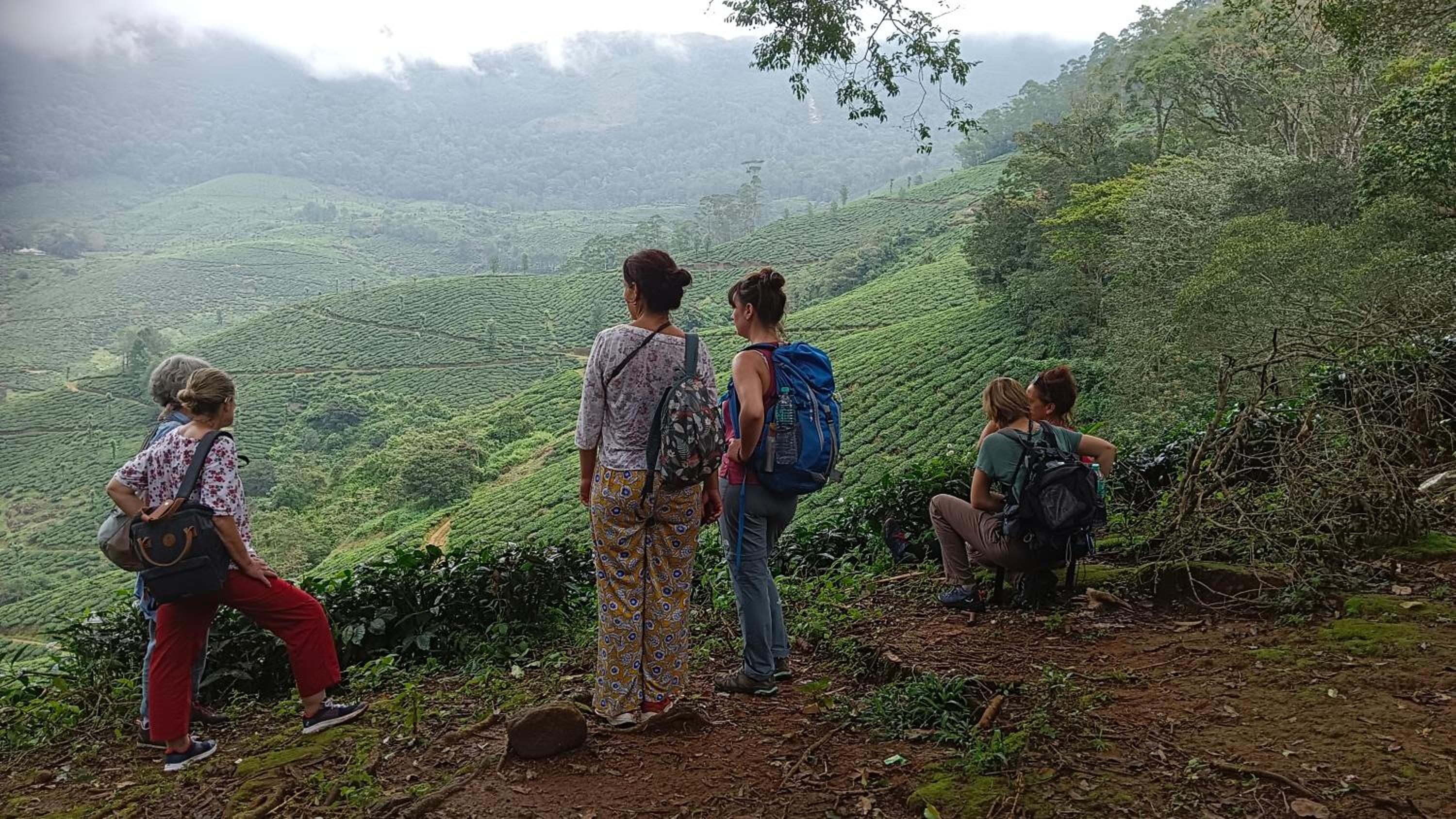 The wayside cottage Munnar view 5