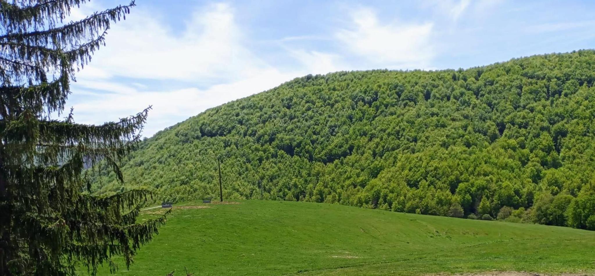 Espectacular chalet de montaña en plena naturaleza