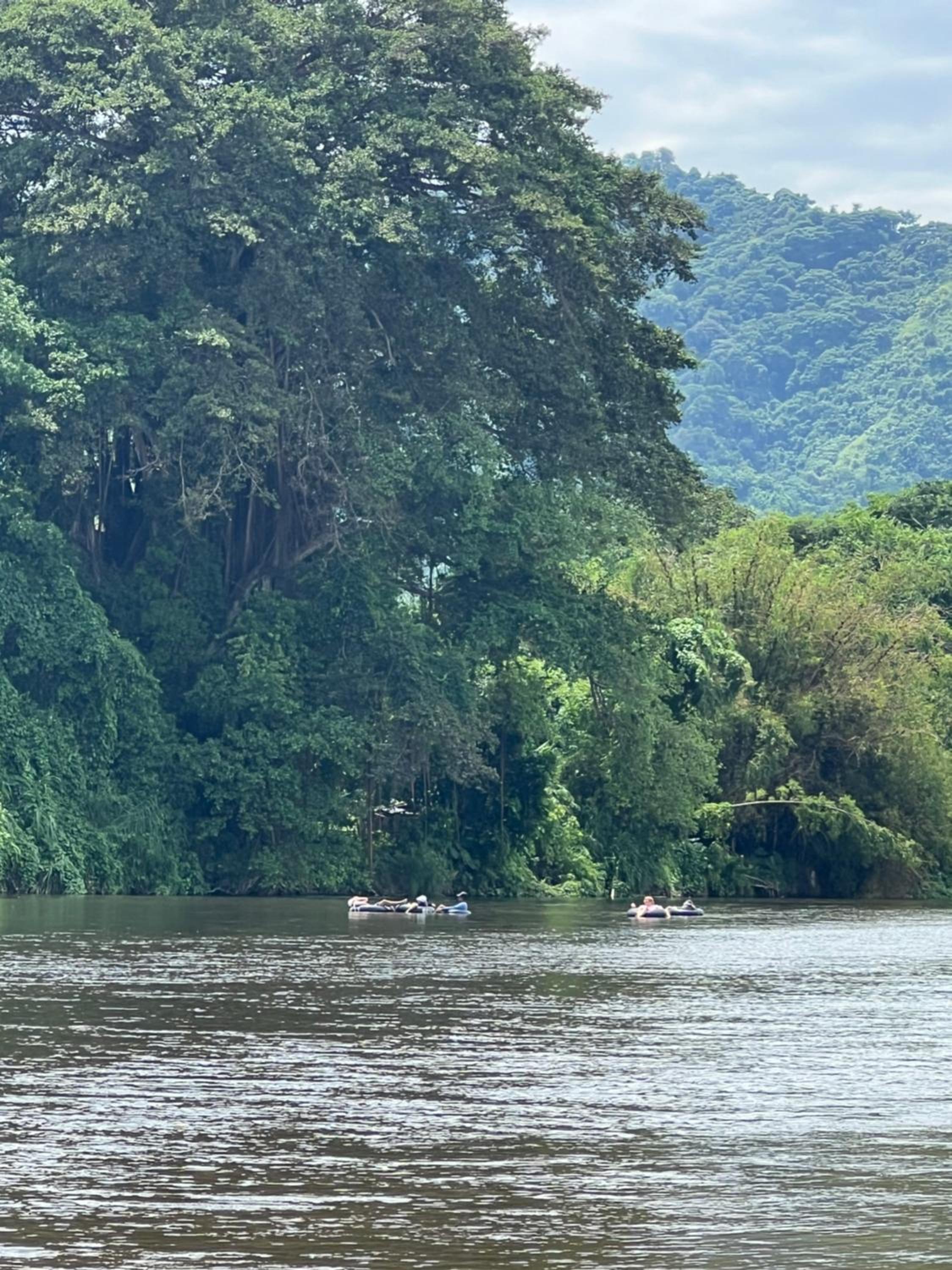 The Don
