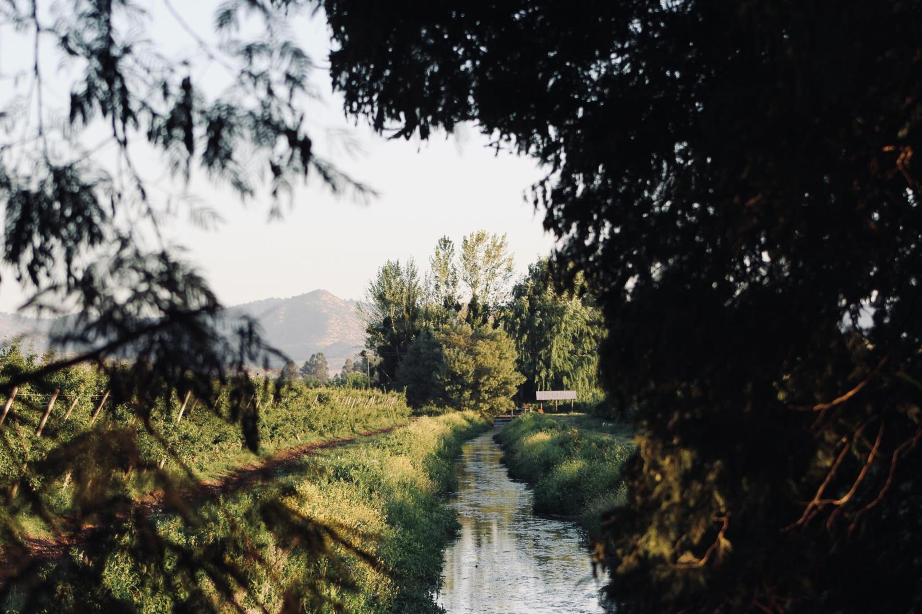 Casas Agua Viva
