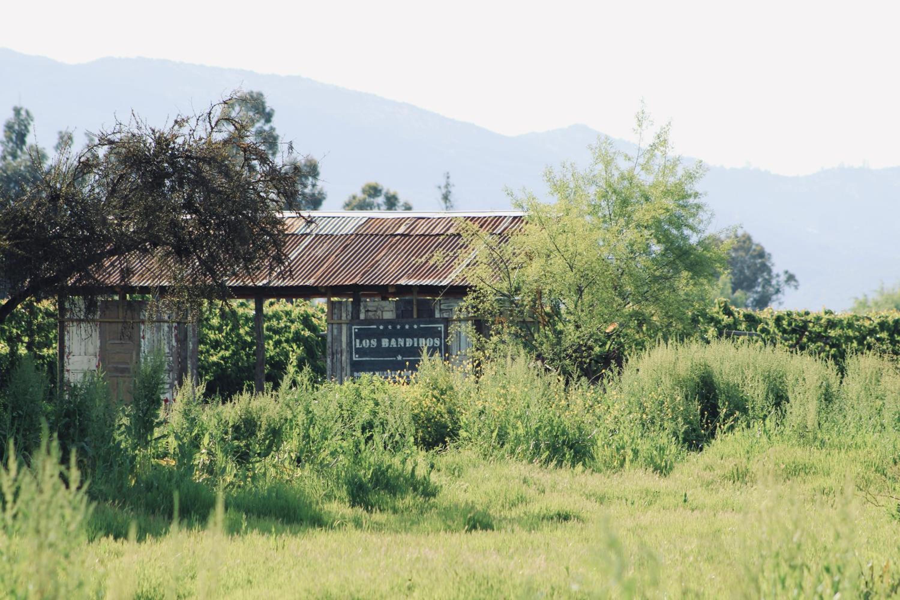 Casas Agua Viva