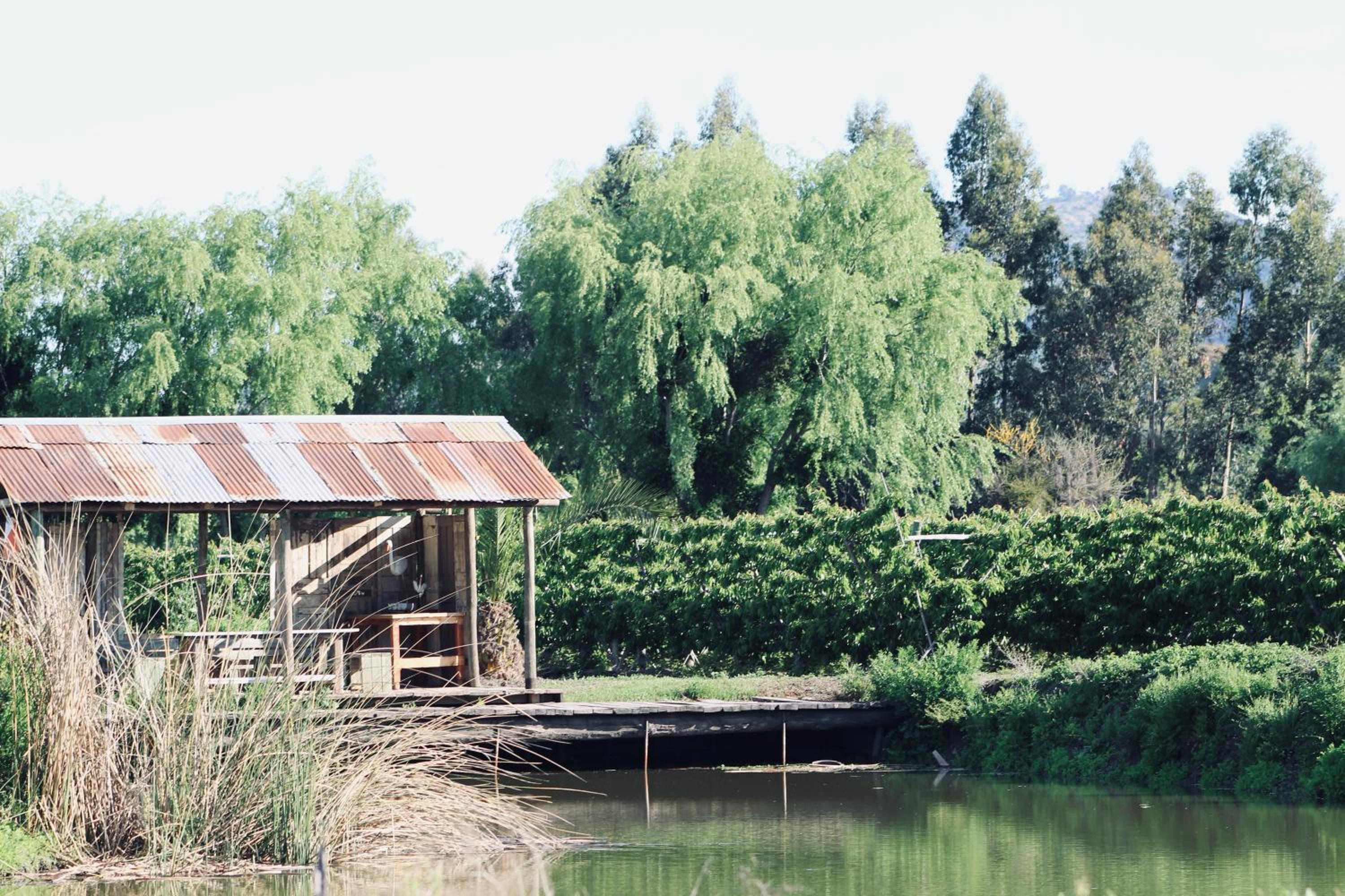 Casas Agua Viva