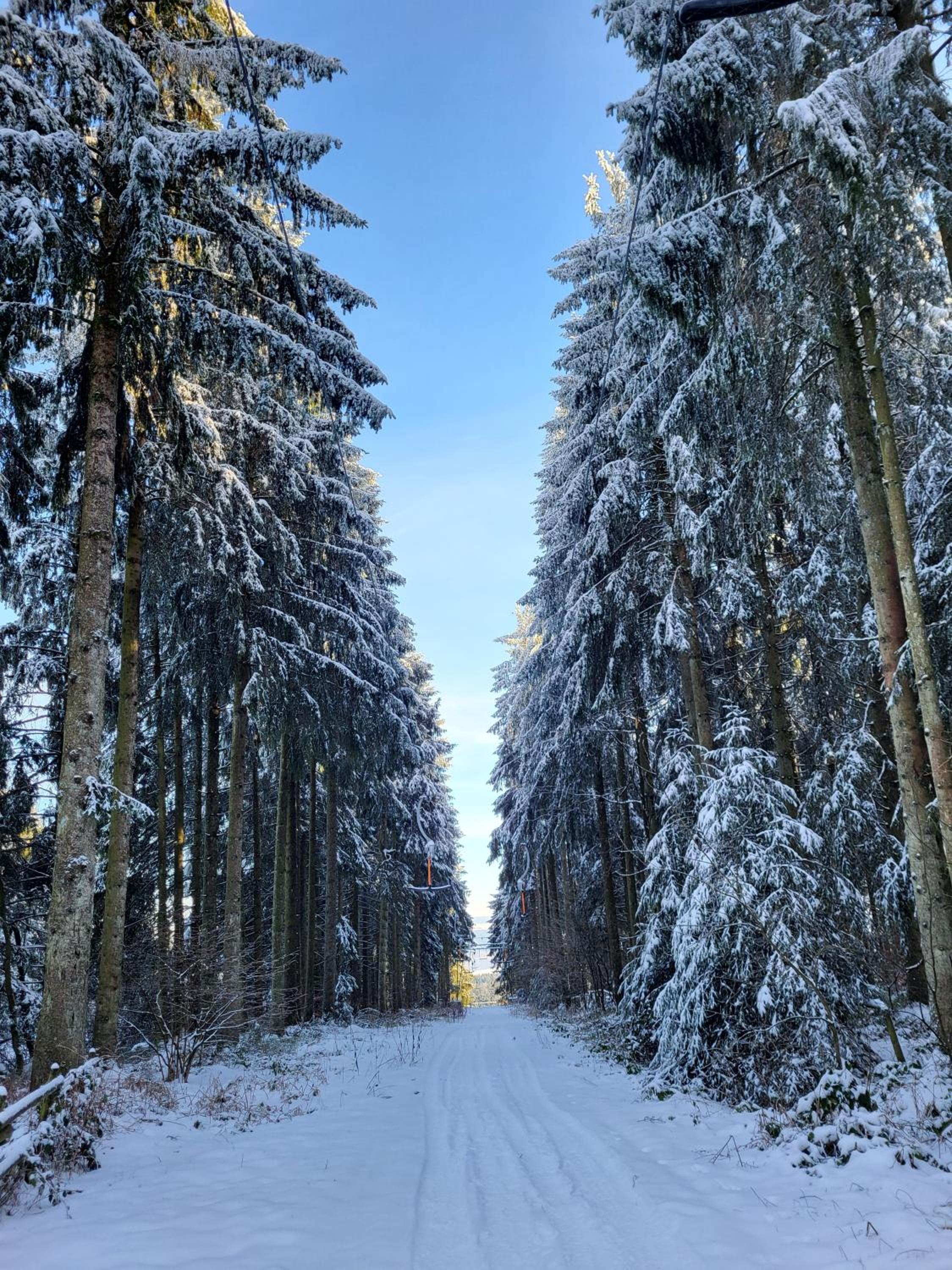 Die alte Schule Häuschen