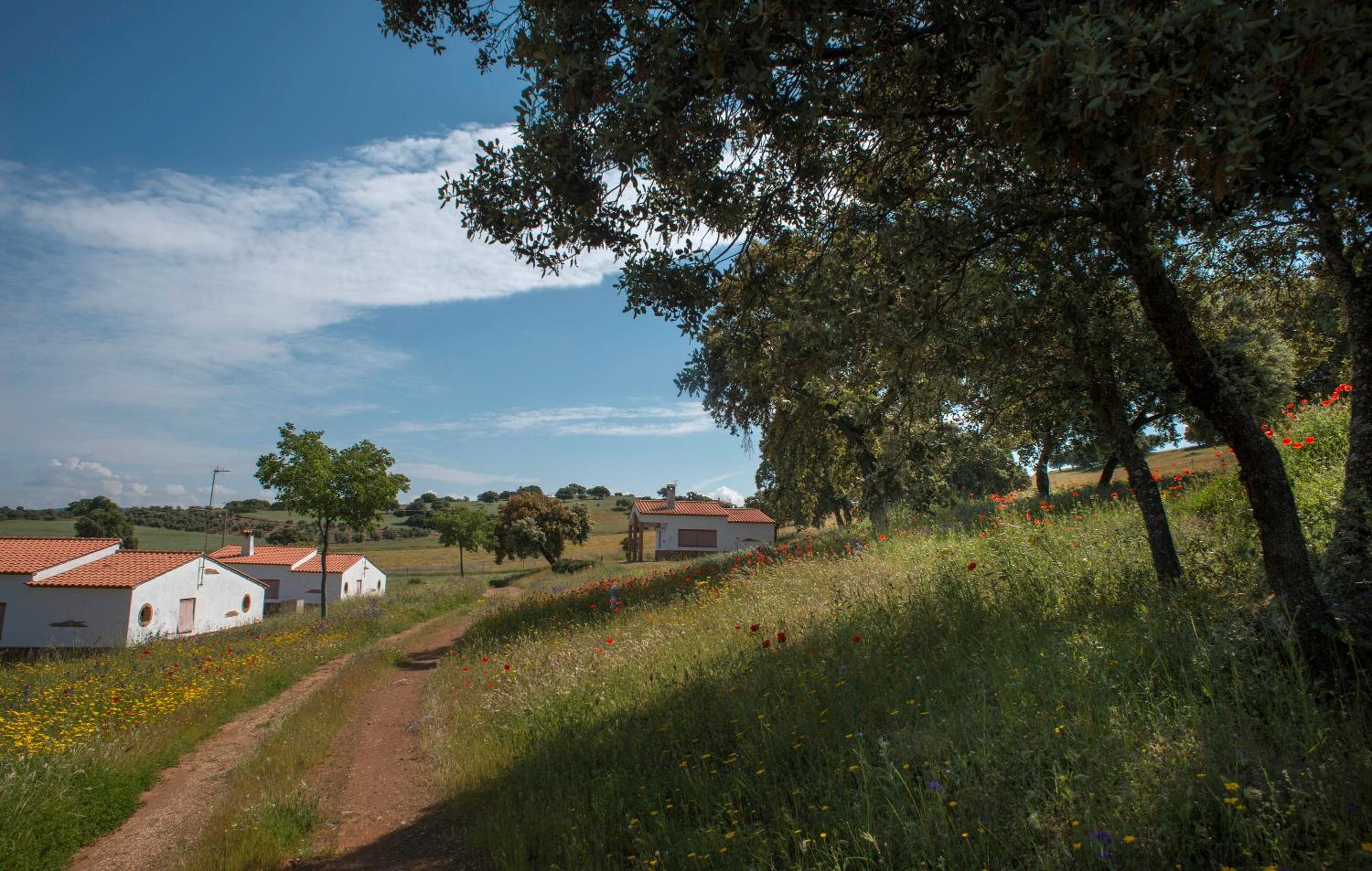 La Aldeilla
