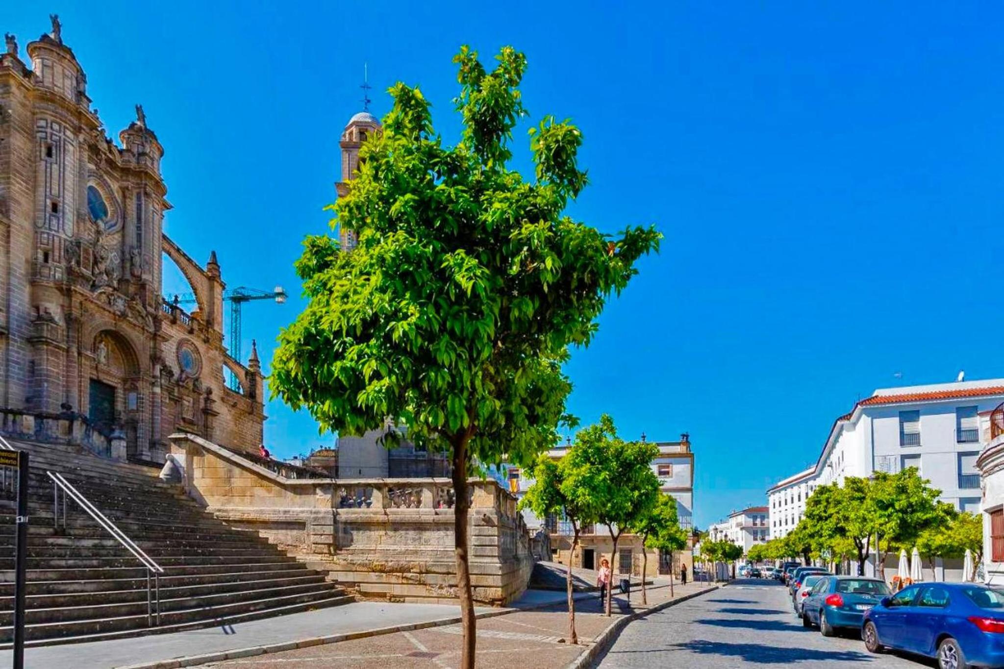 La Torre de la Catedral - Ole Solutions view 2