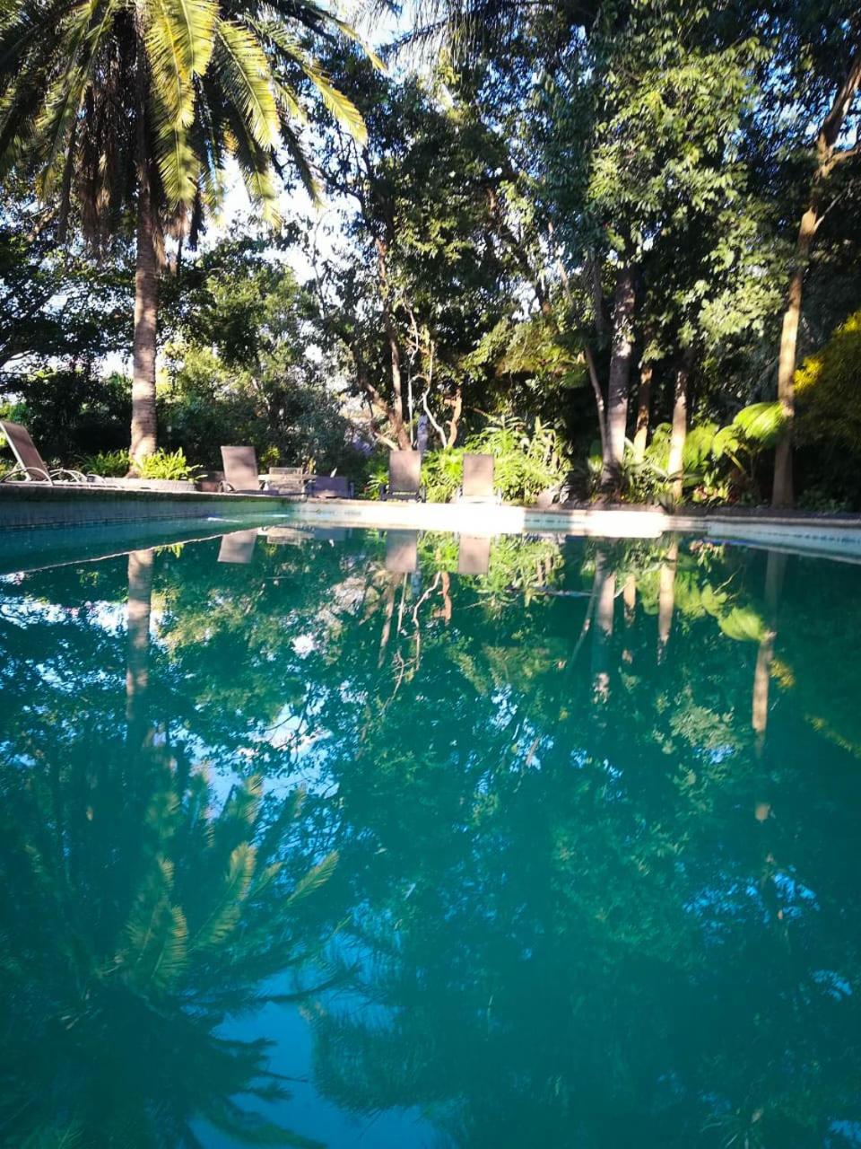 Montrose River Lodge