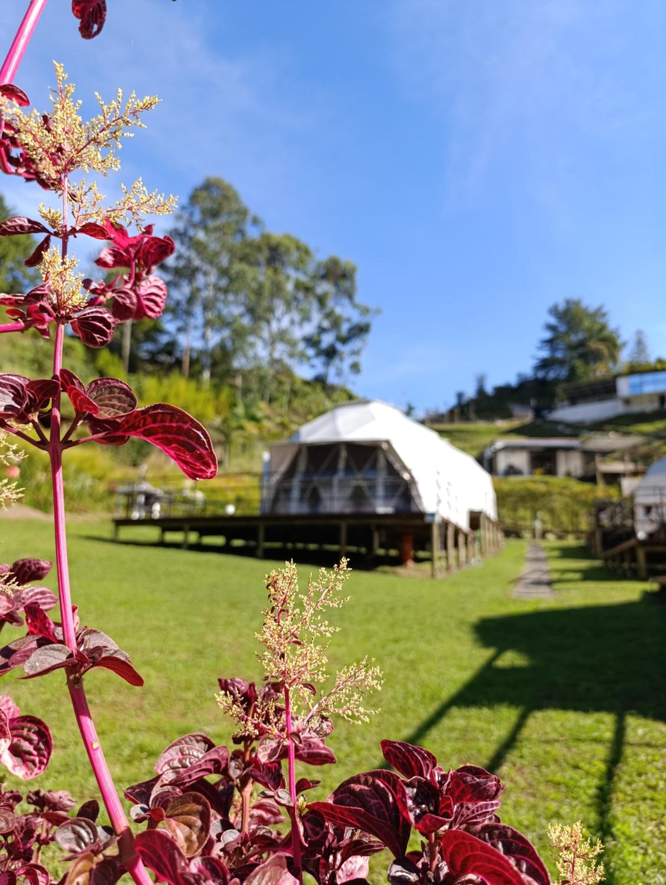 La Quinta Dimensión Glamping view 2