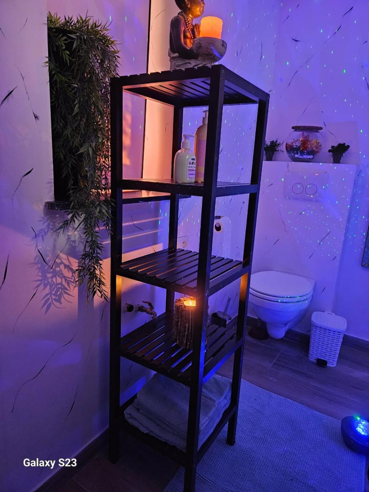 Tropical Room