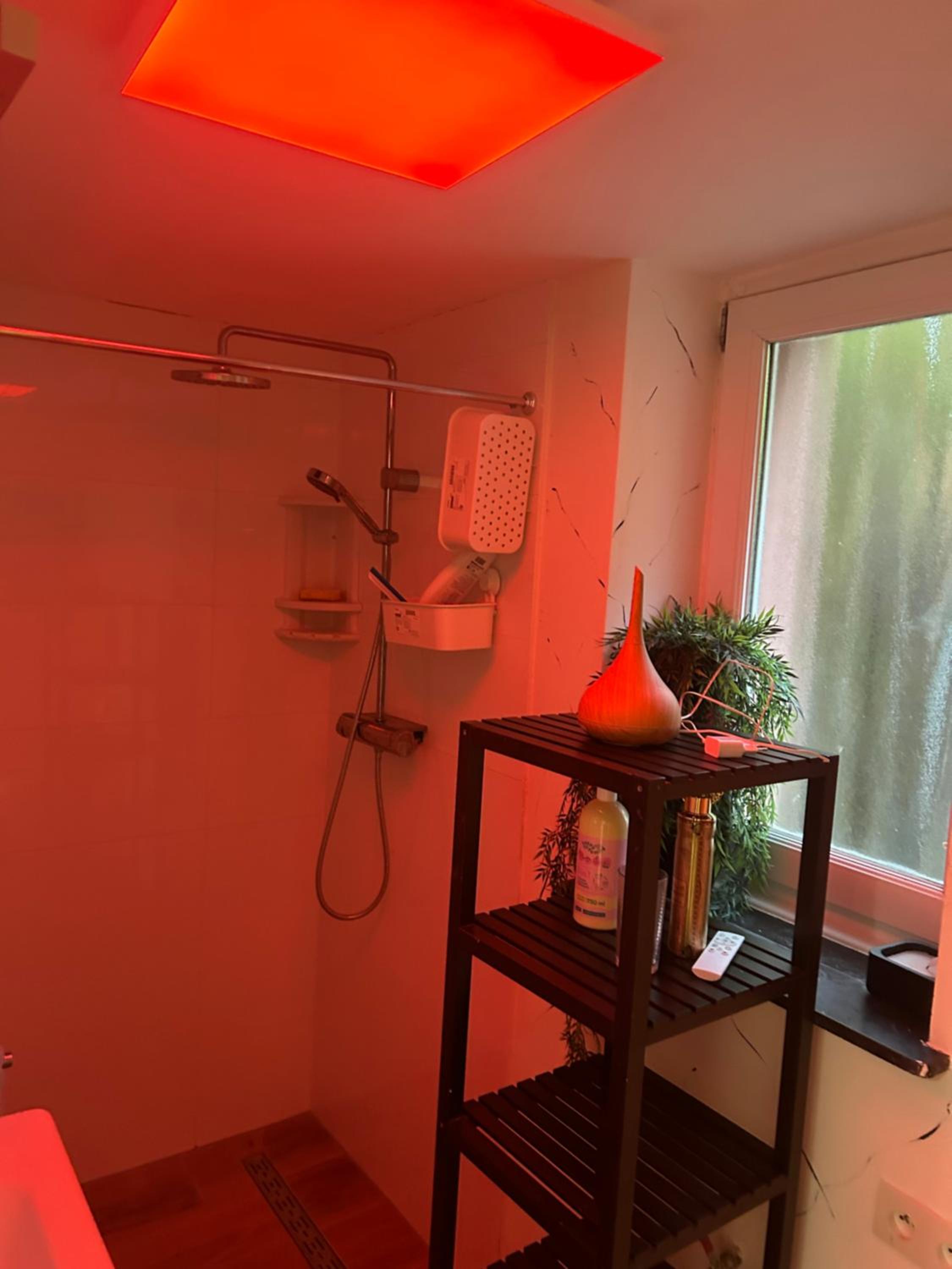 Tropical Room