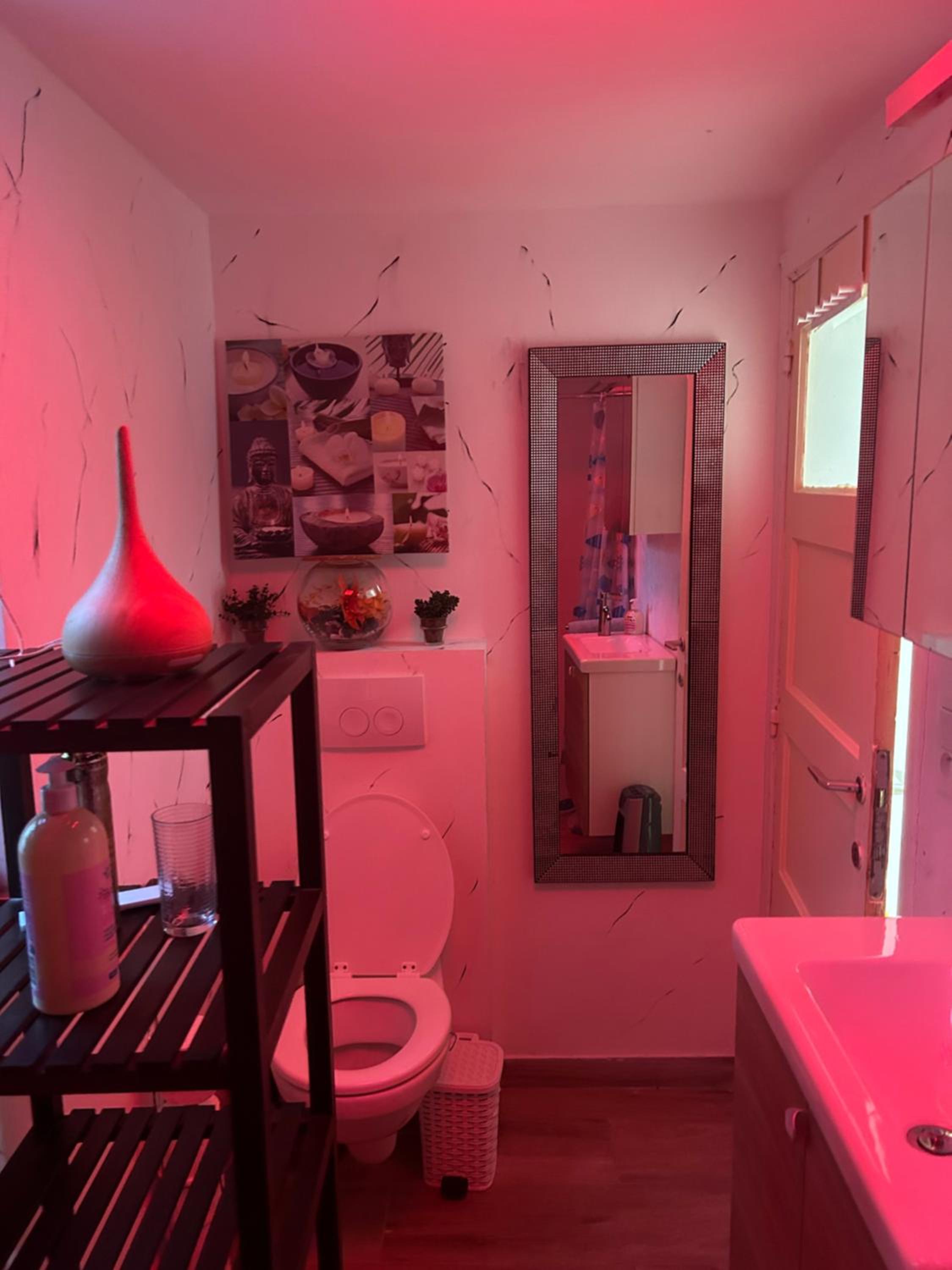 Tropical Room