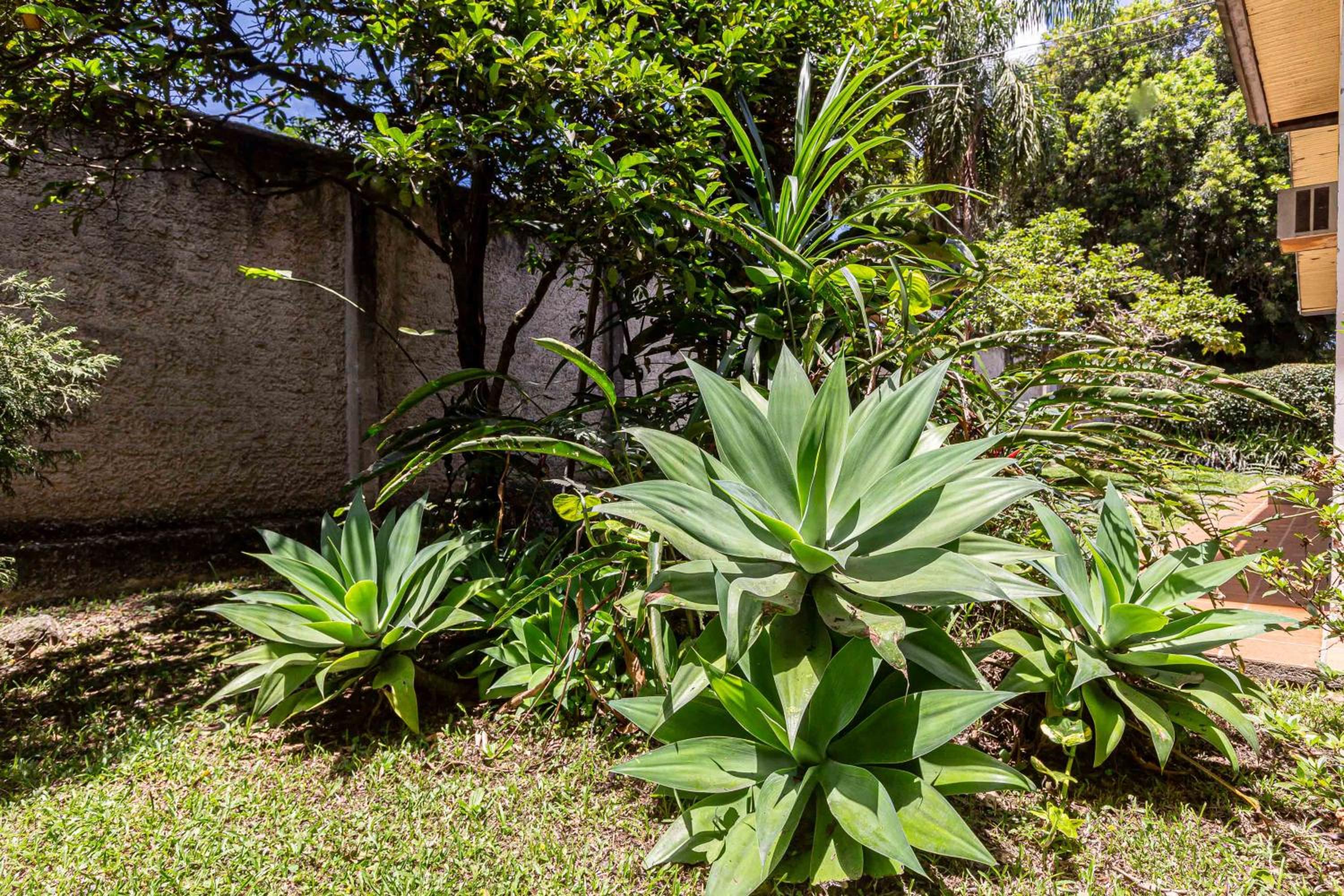 Memora Guesthouse Curitiba - Quartos em Casa próximo ao Parque Bacacheri
