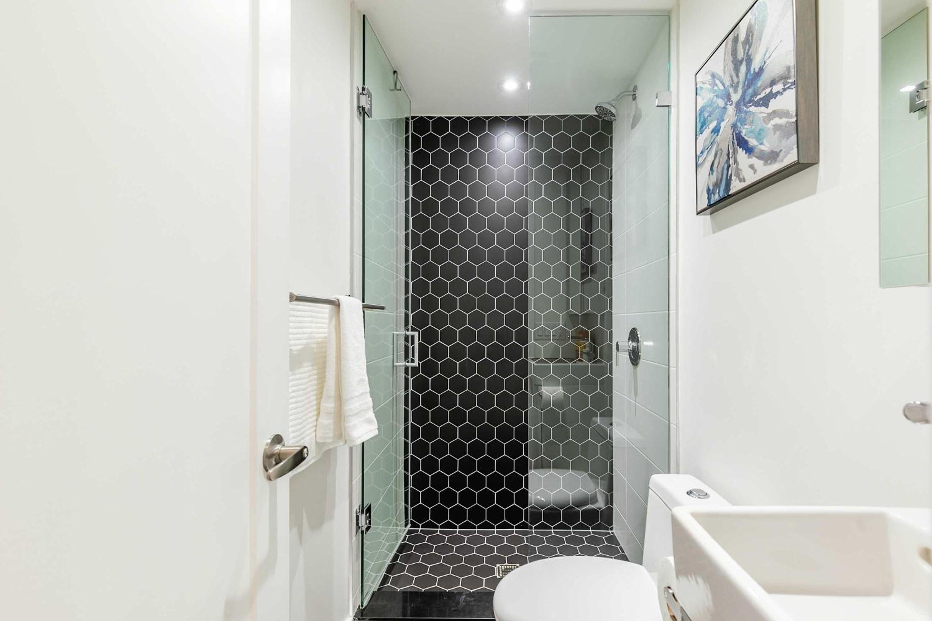 Large 3BR Apartment Steps from High Park