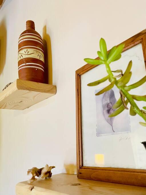 Tecoma hostel apartment