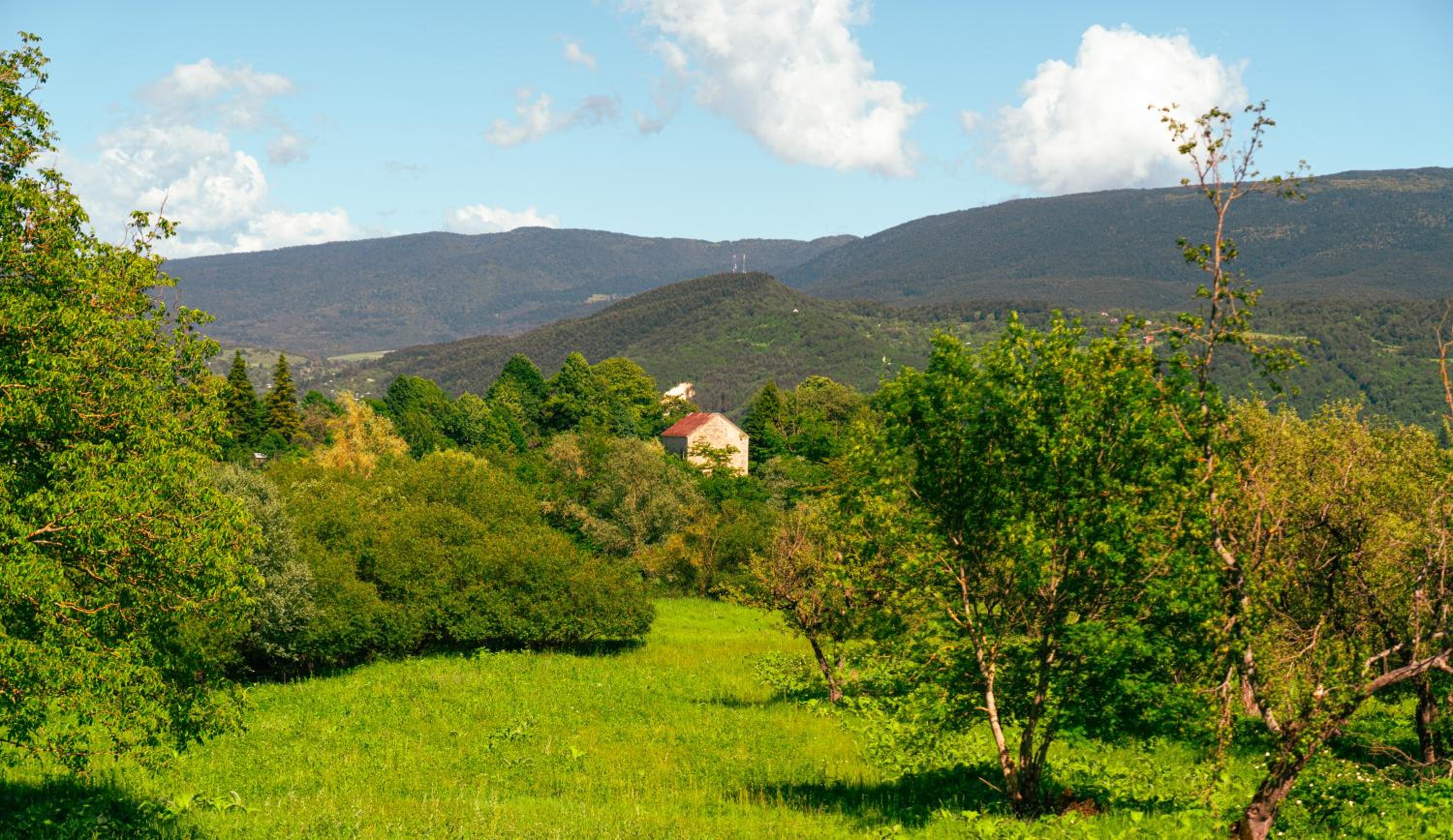 Sakudela Cottage