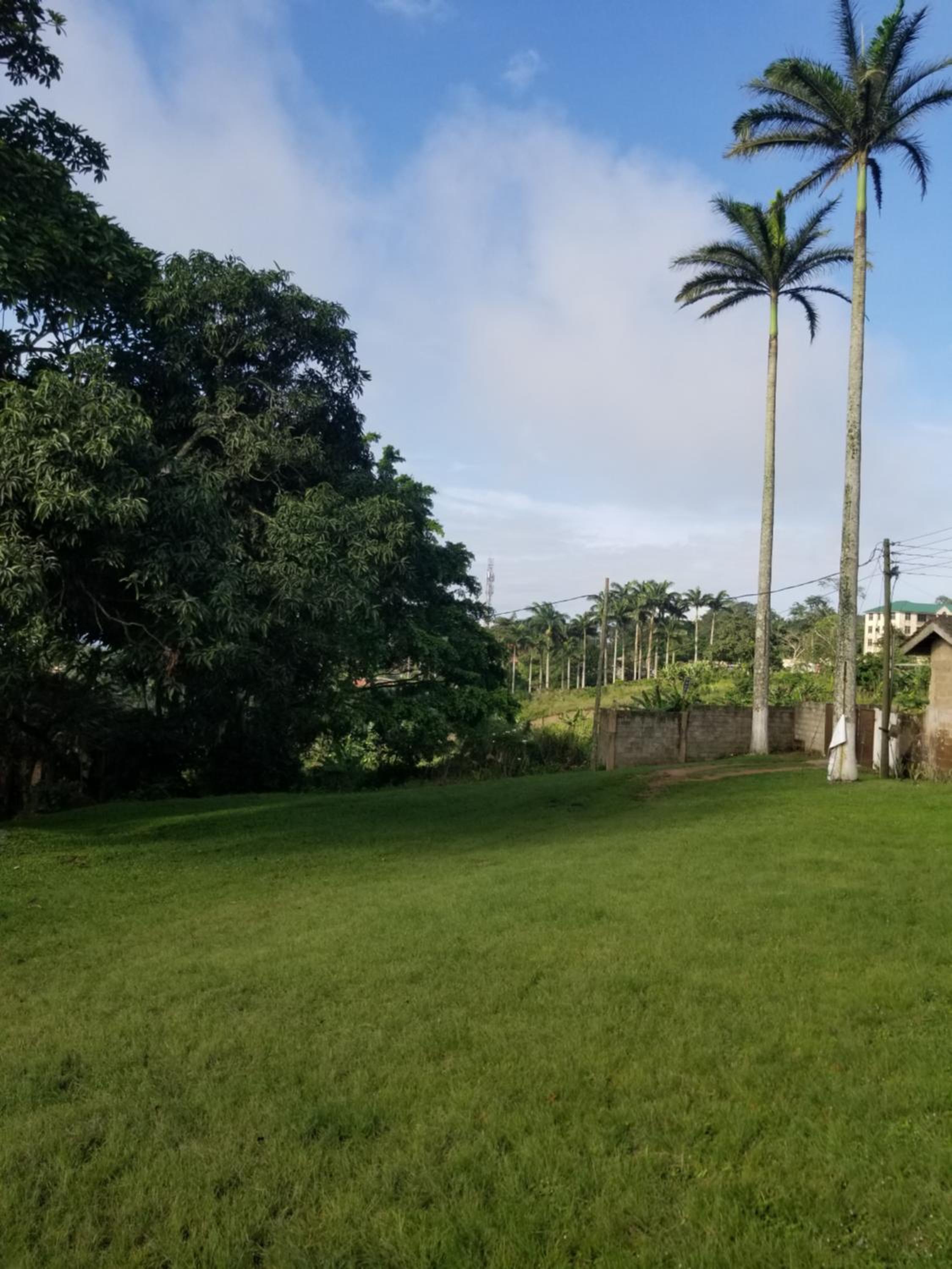 Apeadu House