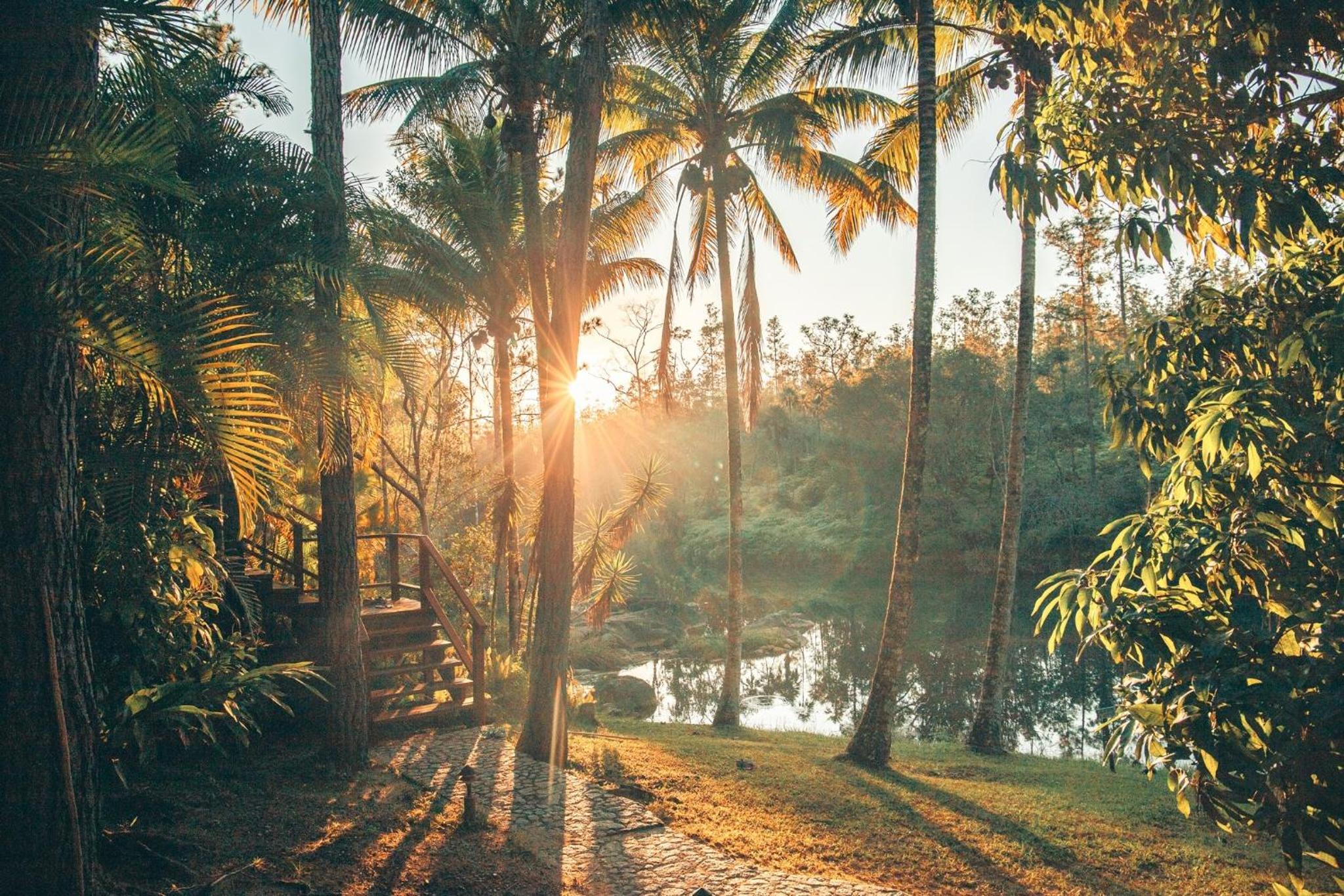 Belize Vacations - Blancaneaux Lodge by Francis Ford Coppola - Property Image 6