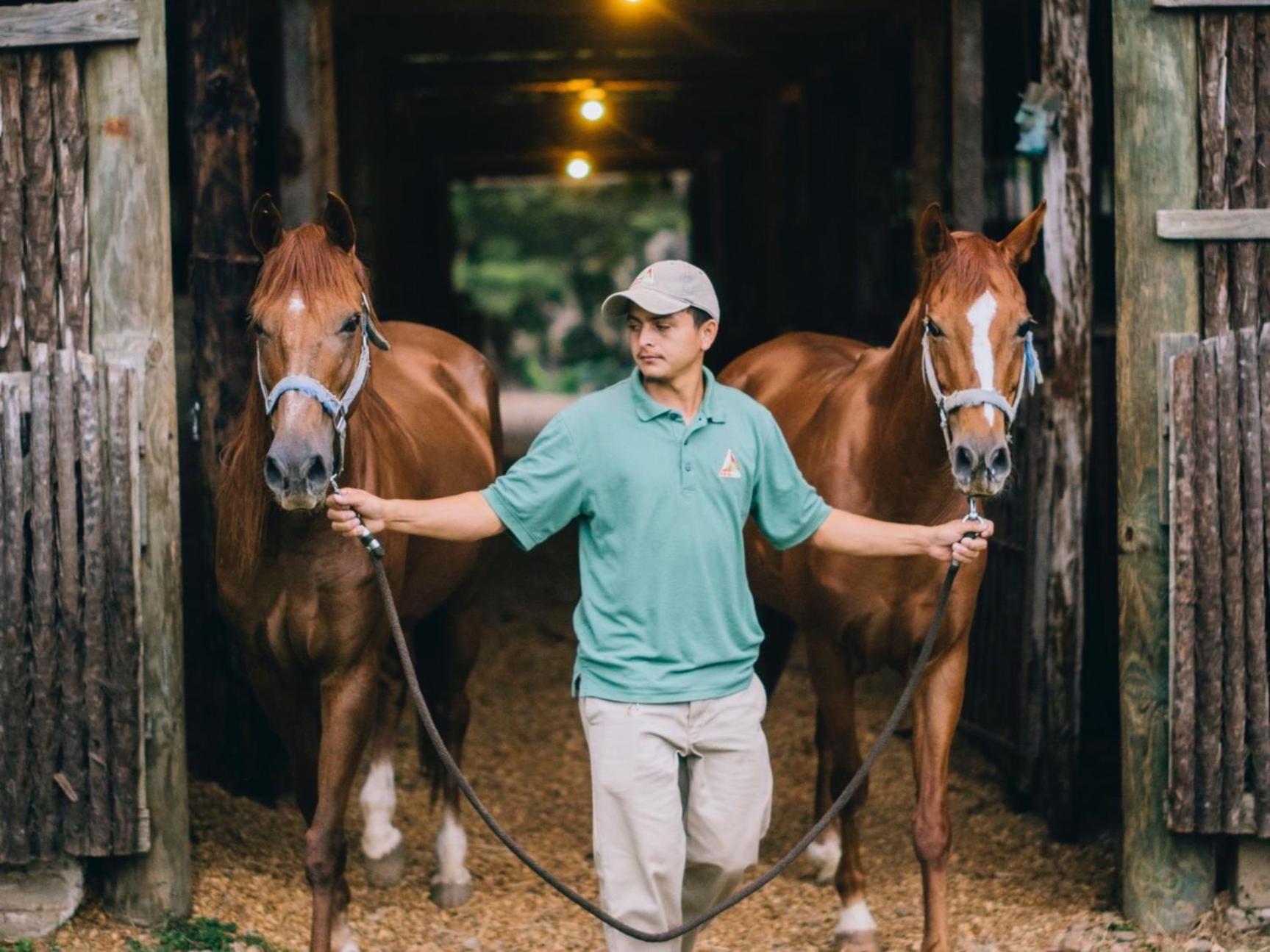 Belize Vacations - Blancaneaux Lodge by Francis Ford Coppola - Property Image 4