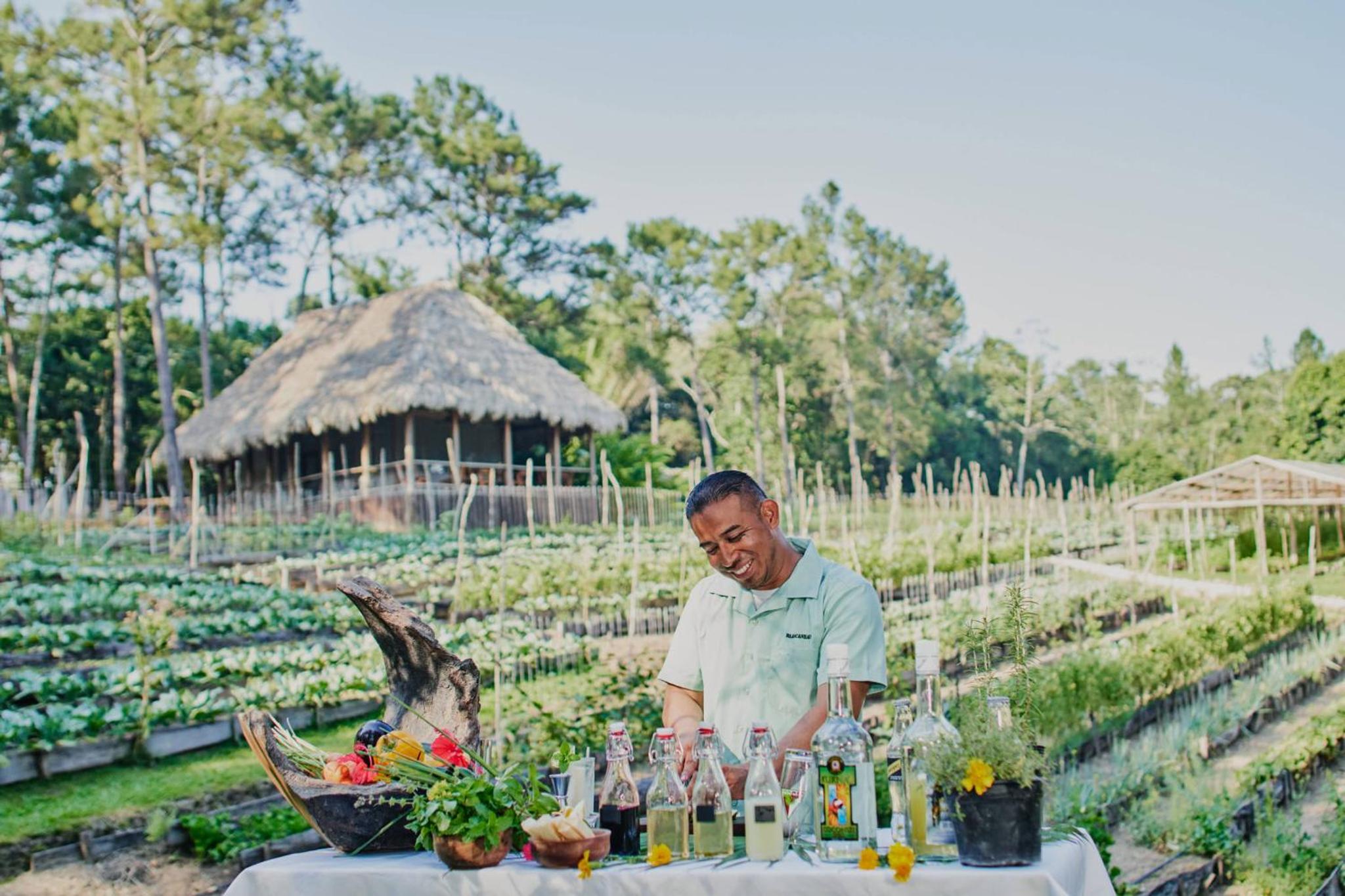 Belize Vacations - Blancaneaux Lodge by Francis Ford Coppola - Property Image 45