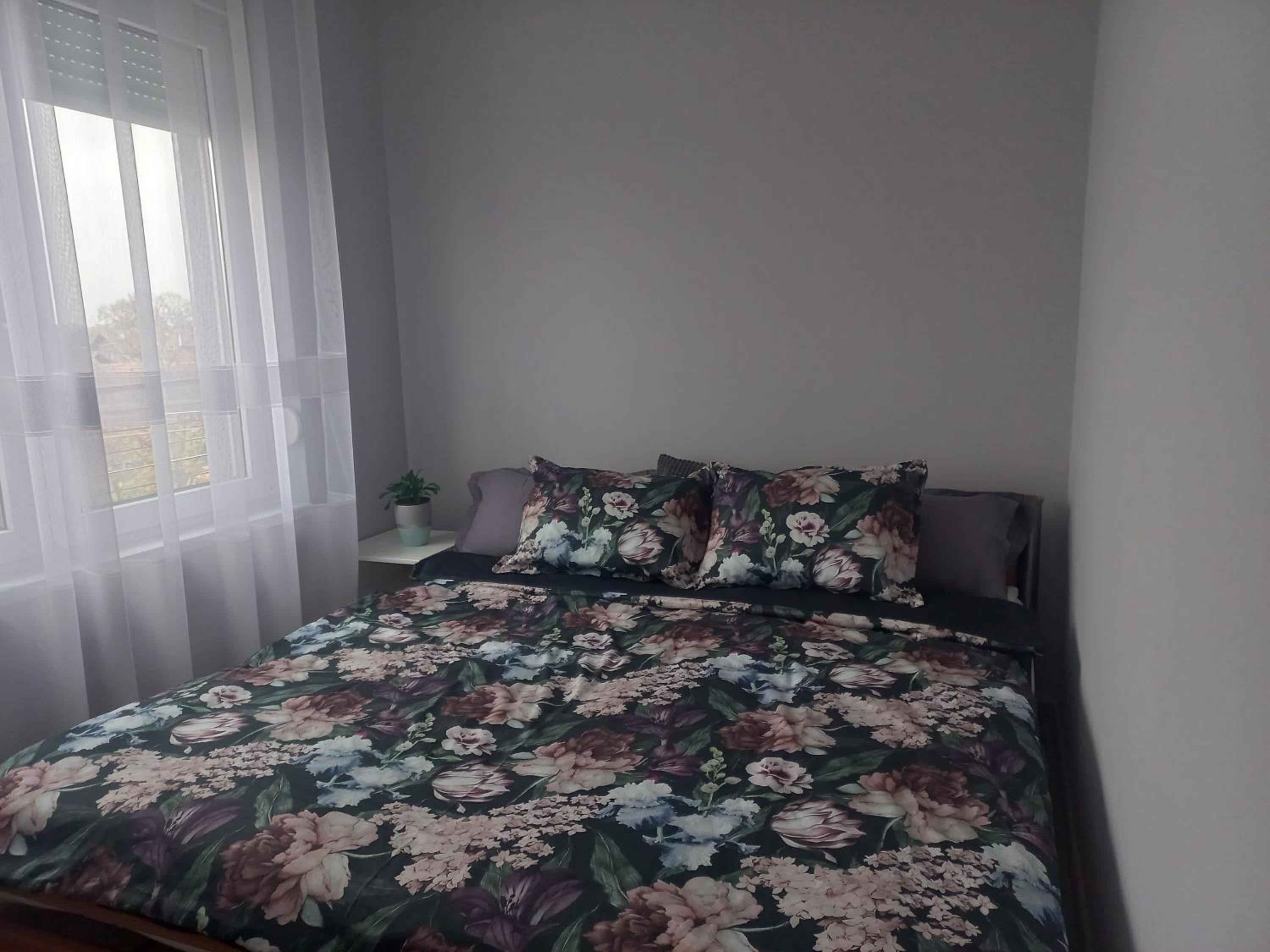 Smart Stay Odžaci view 4