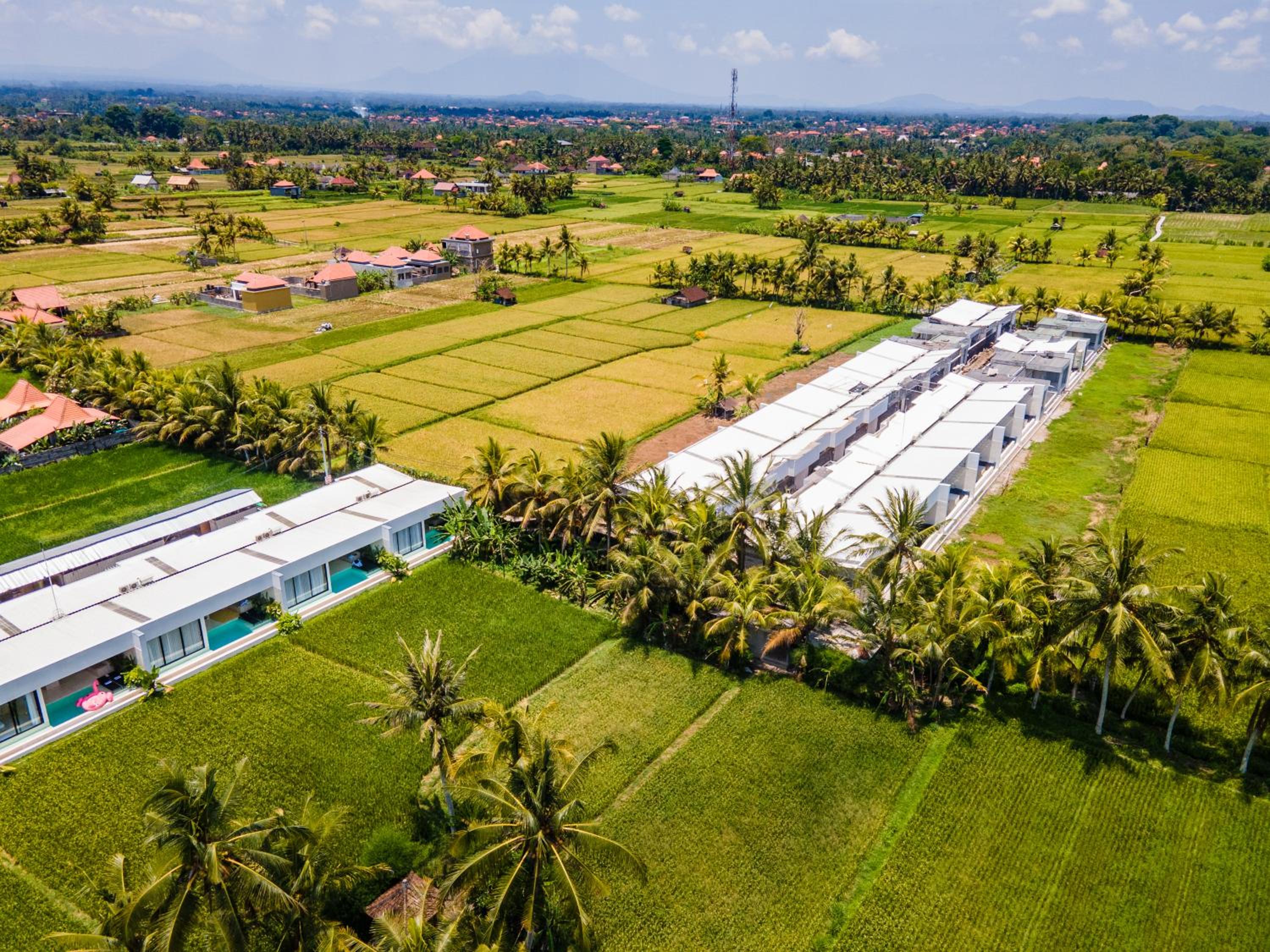 Green Flow Villas Complex Ubud