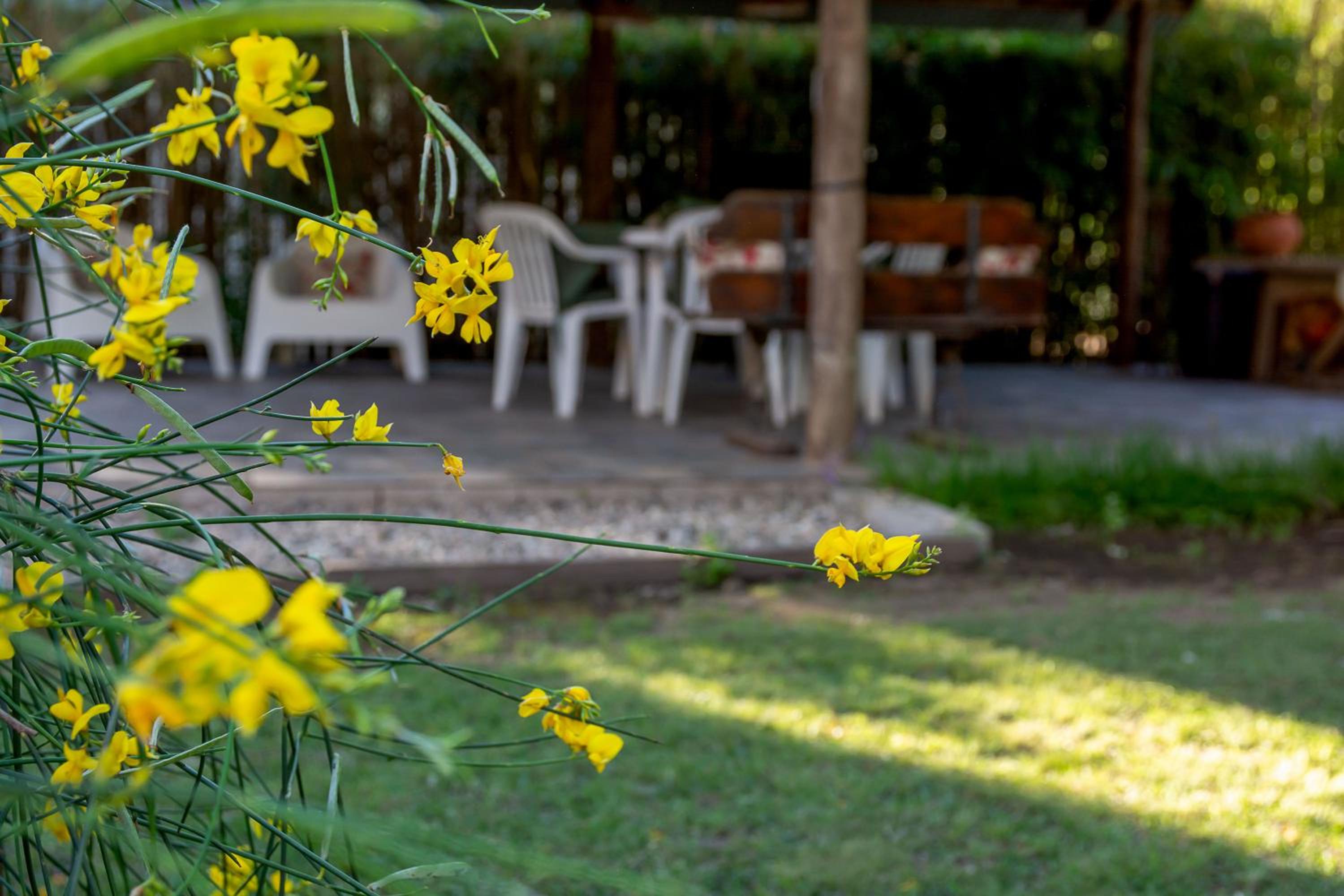 Finca El Amparo