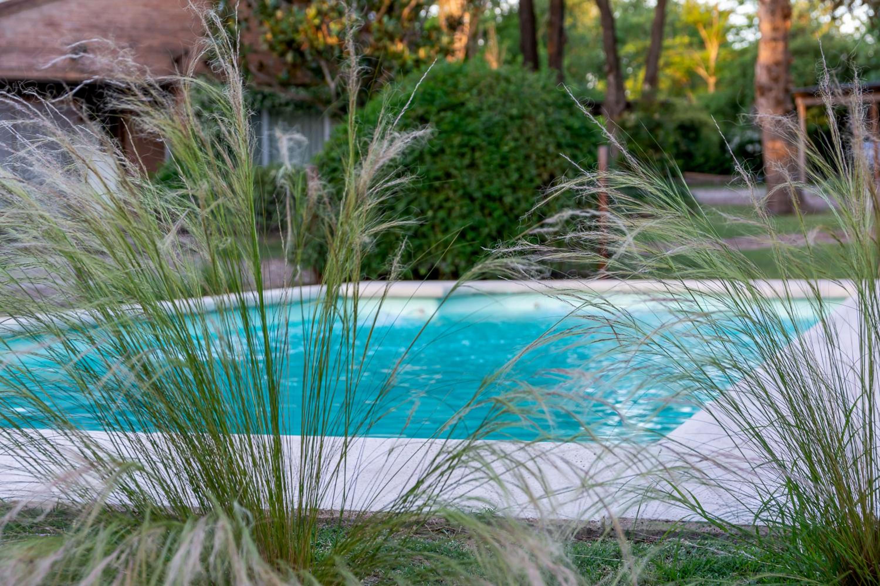 Finca El Amparo