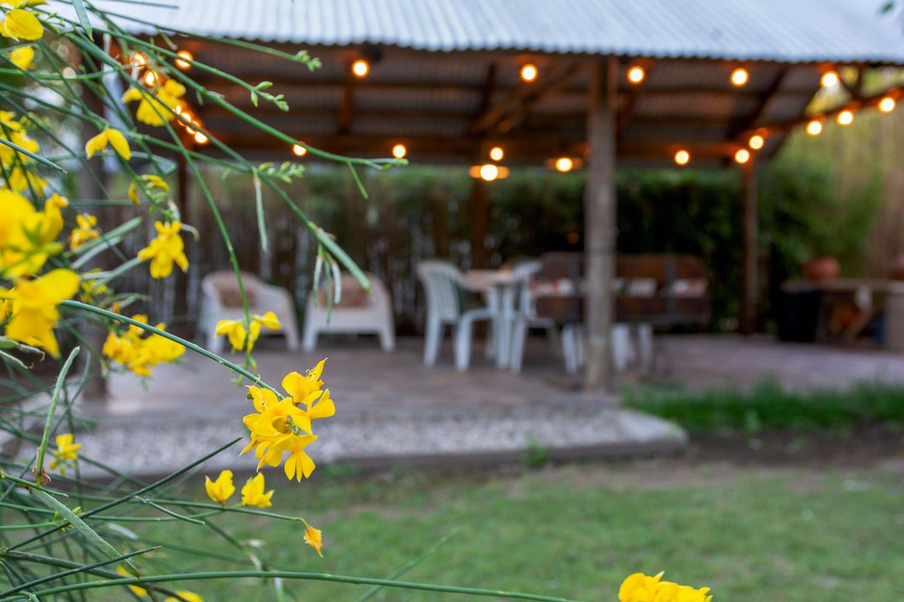 Finca El Amparo
