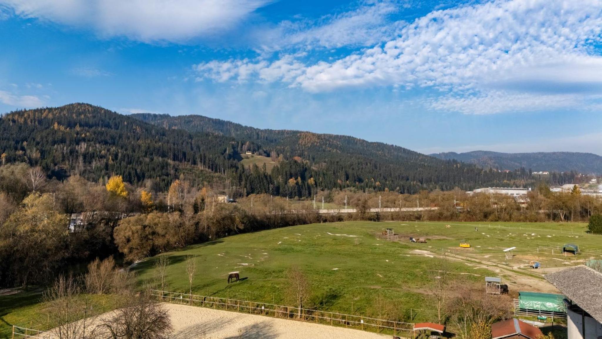TAMLiving Mürztal Neu Küche WIFI TV