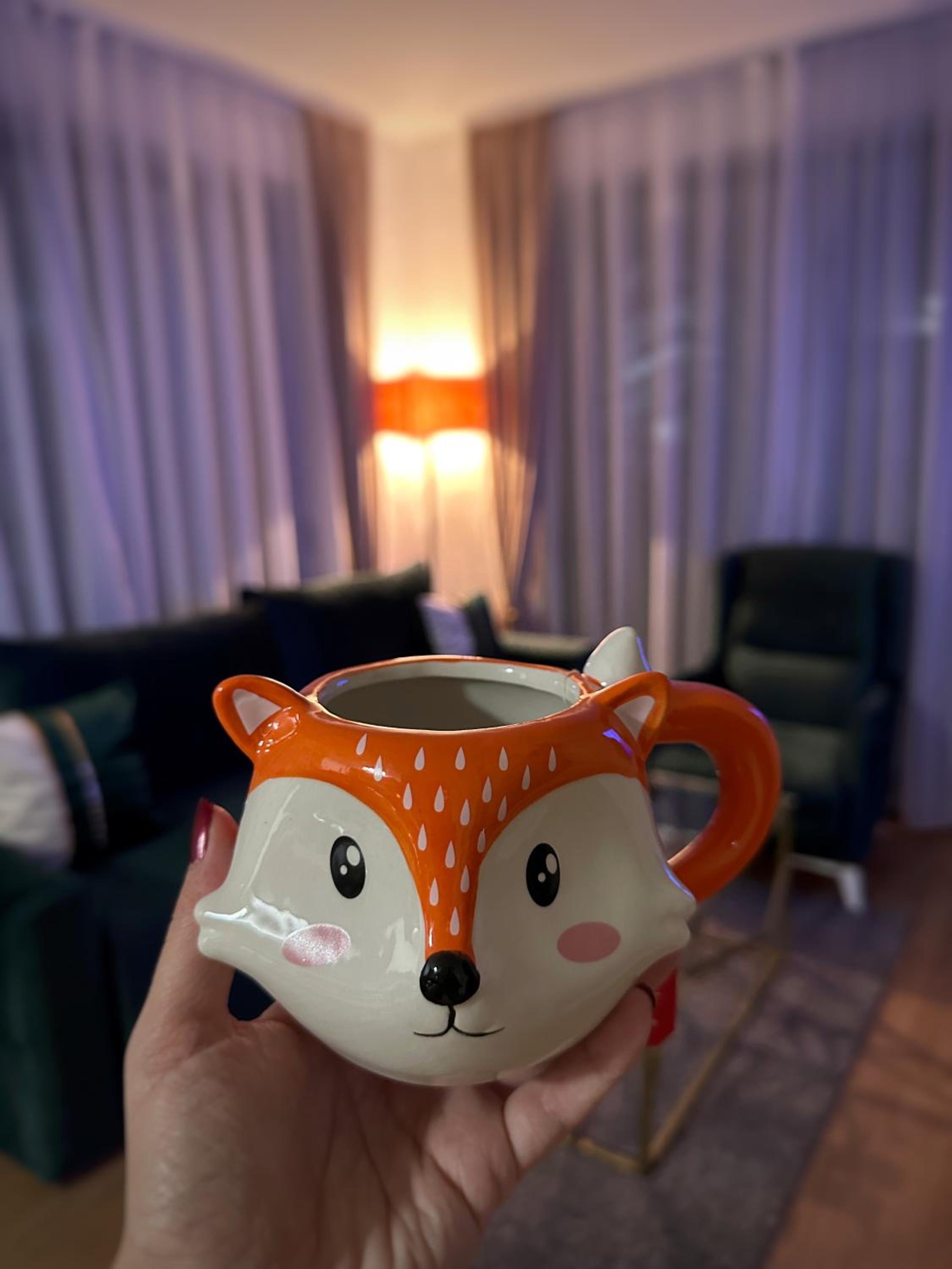 Apartman Little fox Divčibare