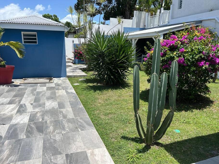 Villa Cactus