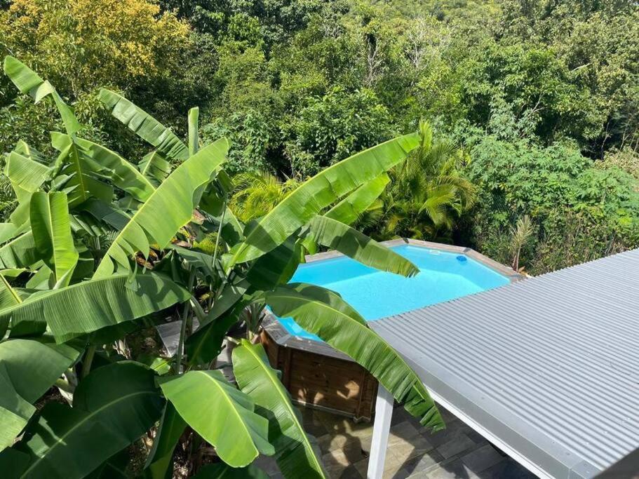 Villa Cactus