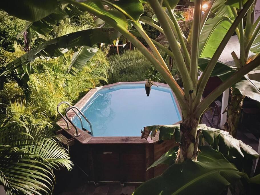 Villa Cactus