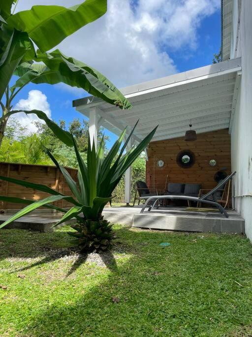 Villa Cactus