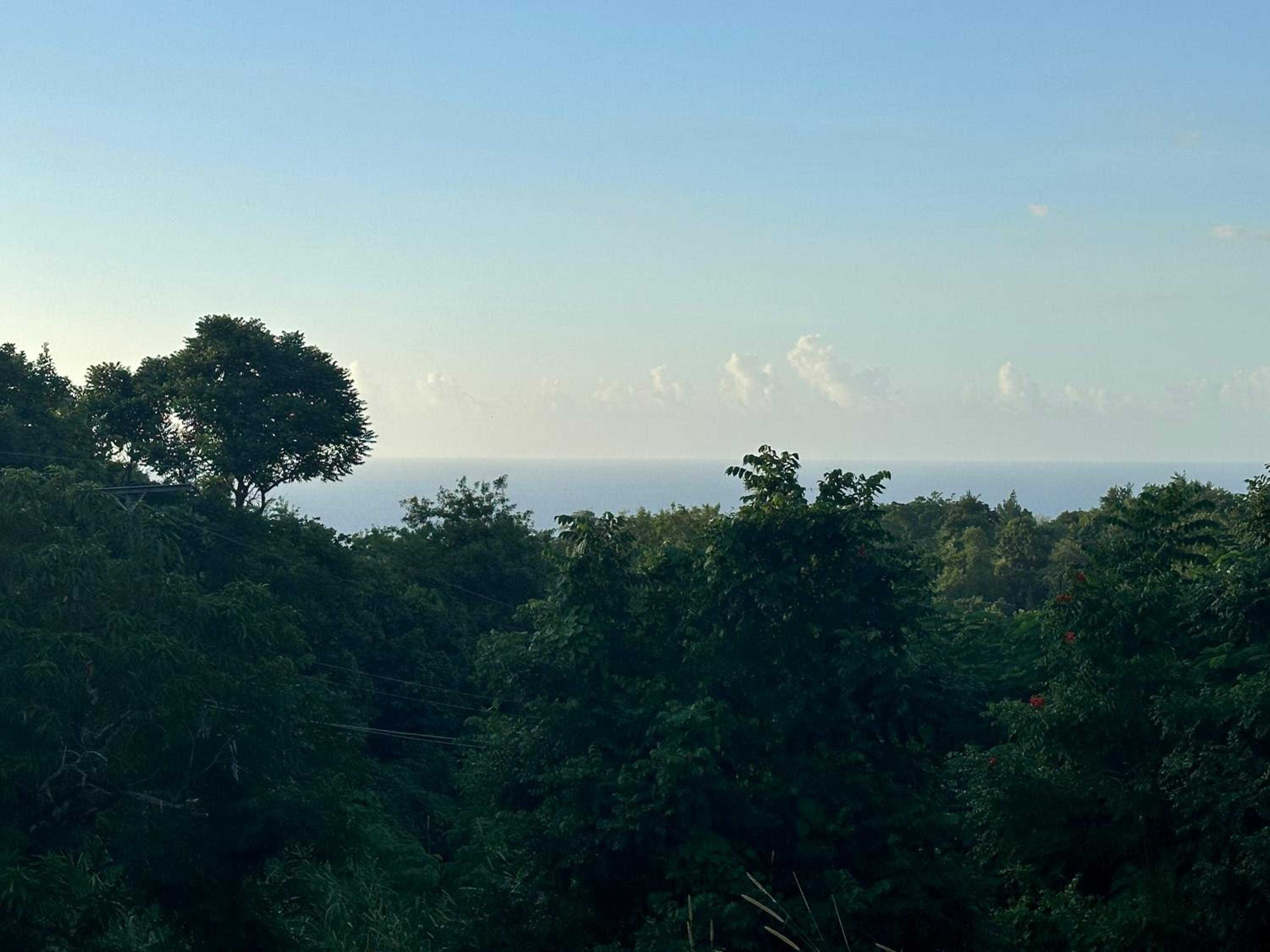 Seaview Oasis view 4
