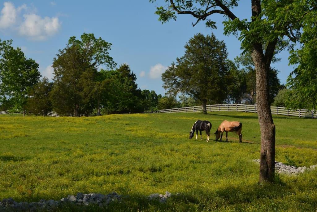 Horse Farm 4Bedrm home Bourbon Trail w private pool view 4