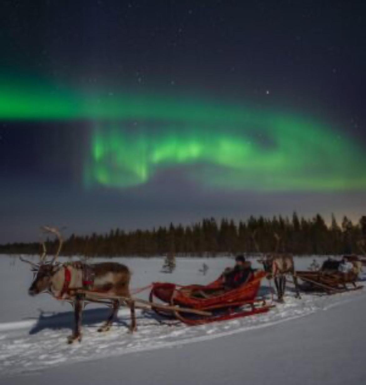 Villa Christmasland Arctic circle
