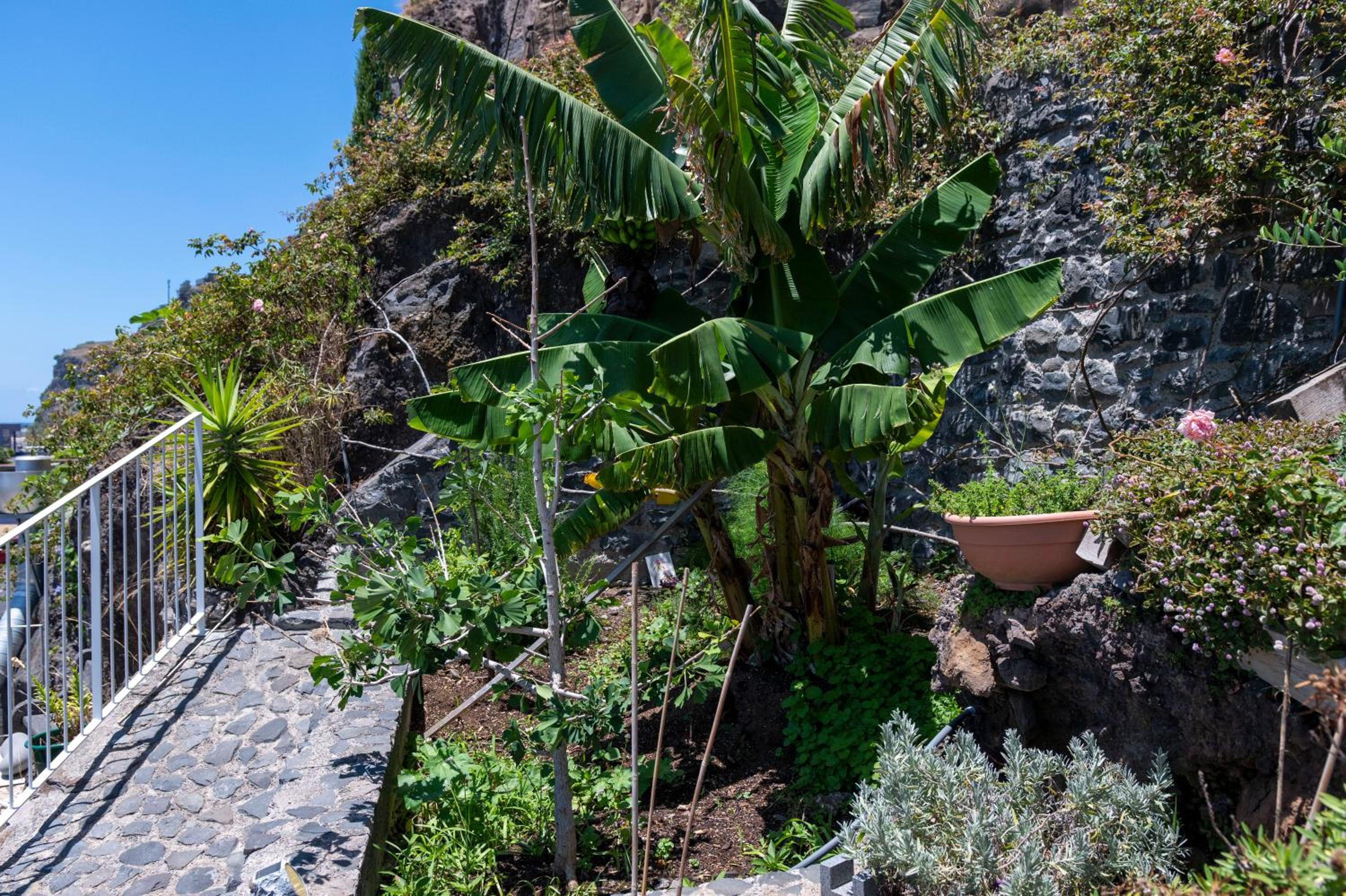 Soalheira Studio Gardens Guest House view 4