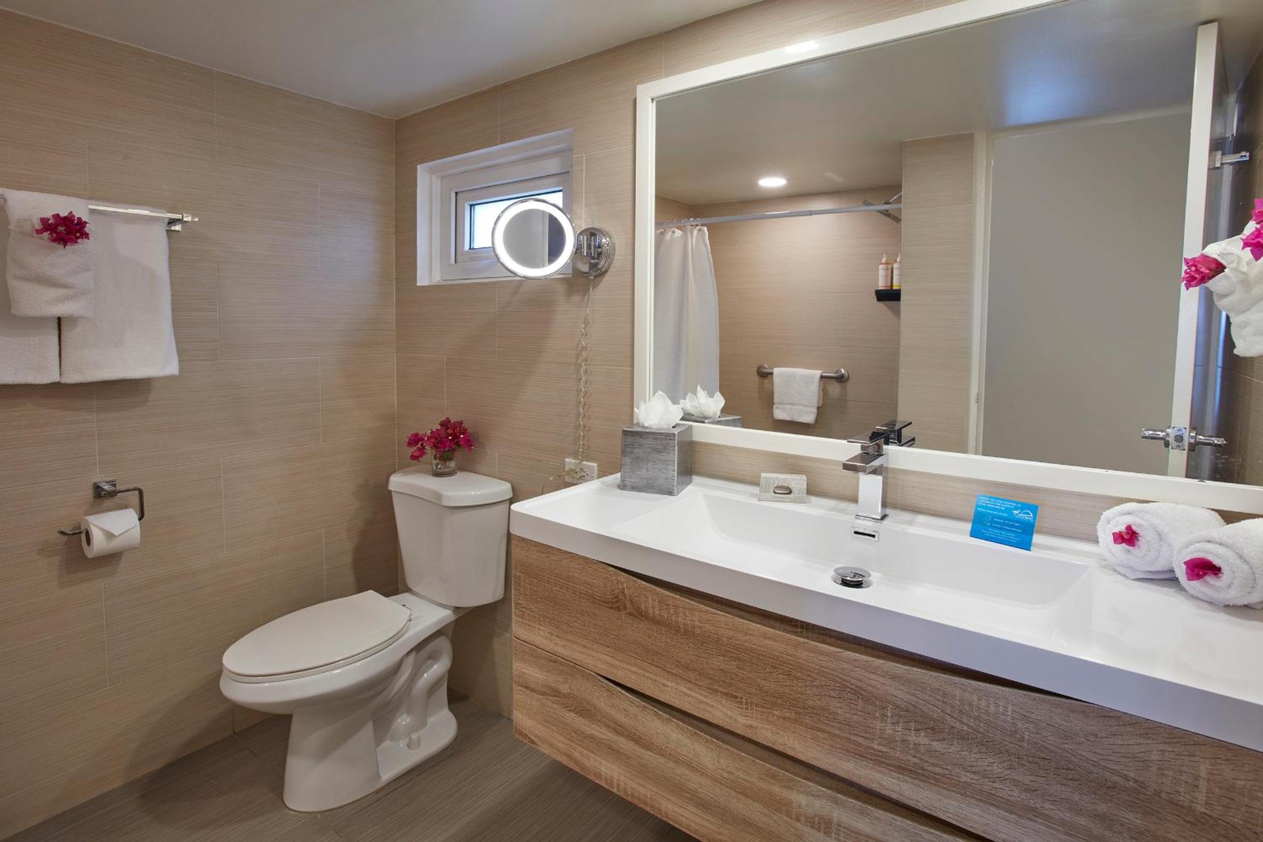 Divi Flamingo Beach Resort - Photo 42