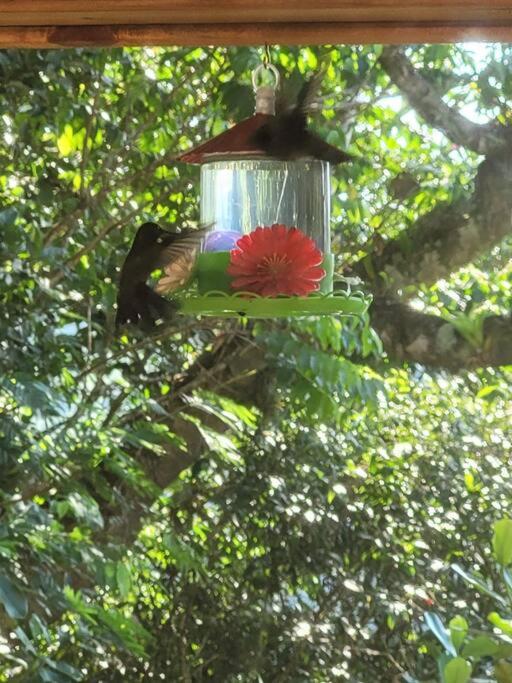 Sítio Colibri - casa inteligente