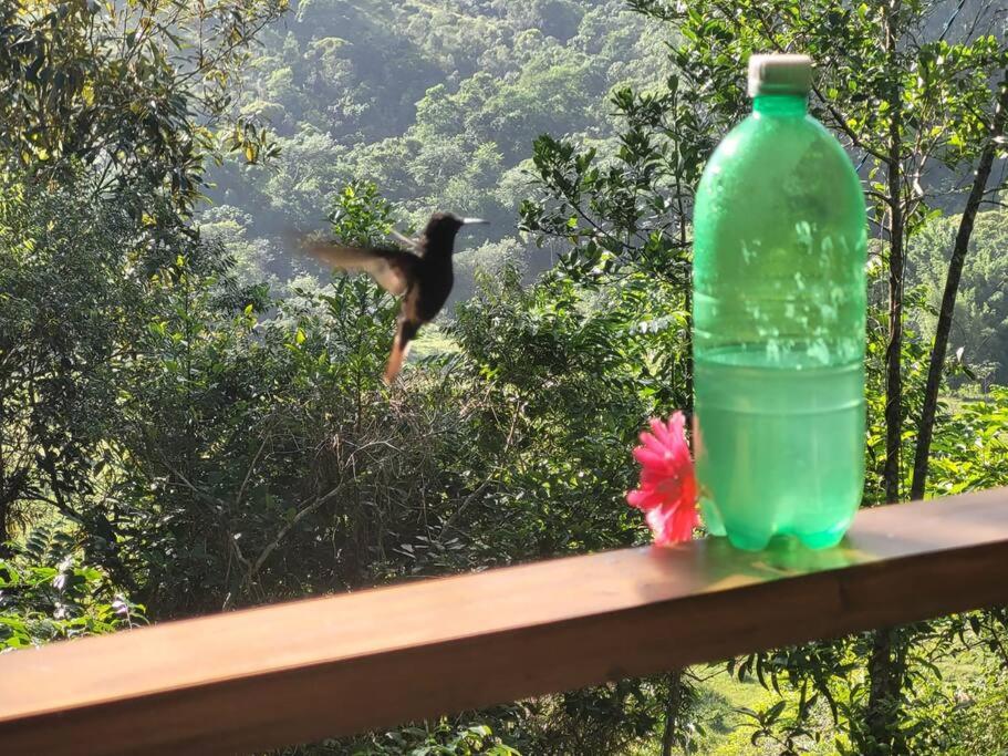 Sítio Colibri - casa inteligente