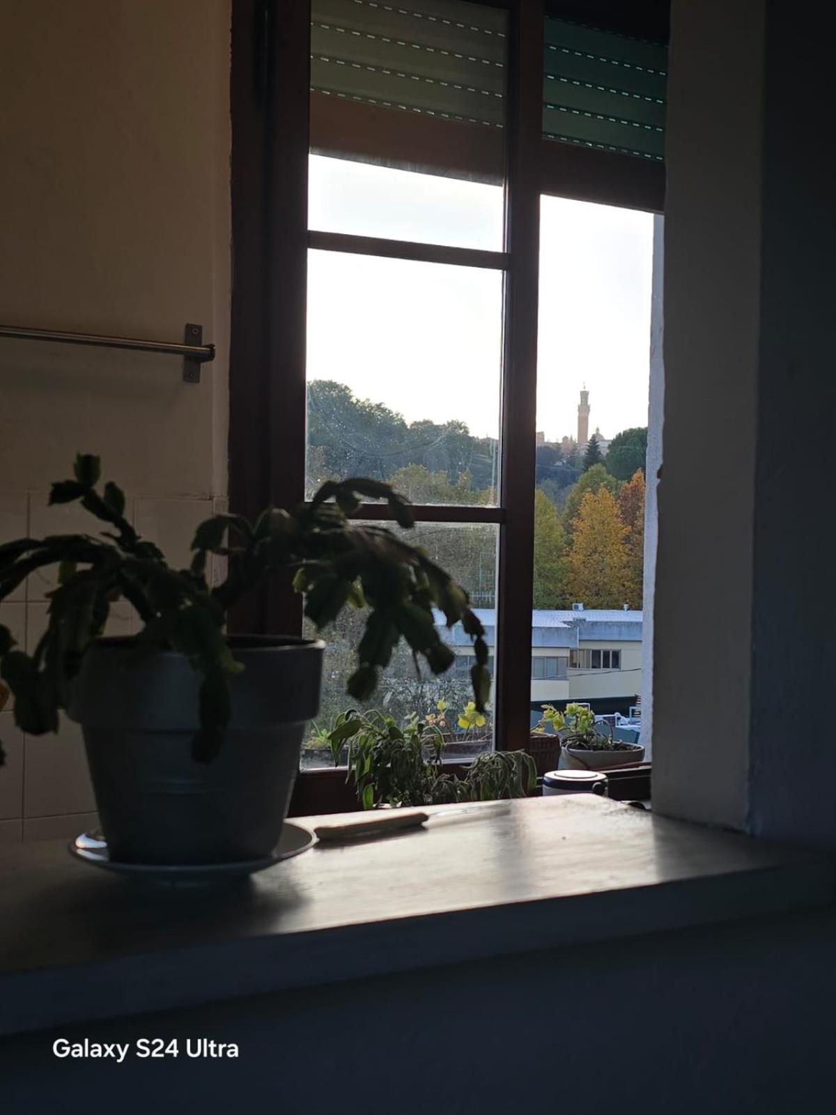 Podere Ponticini